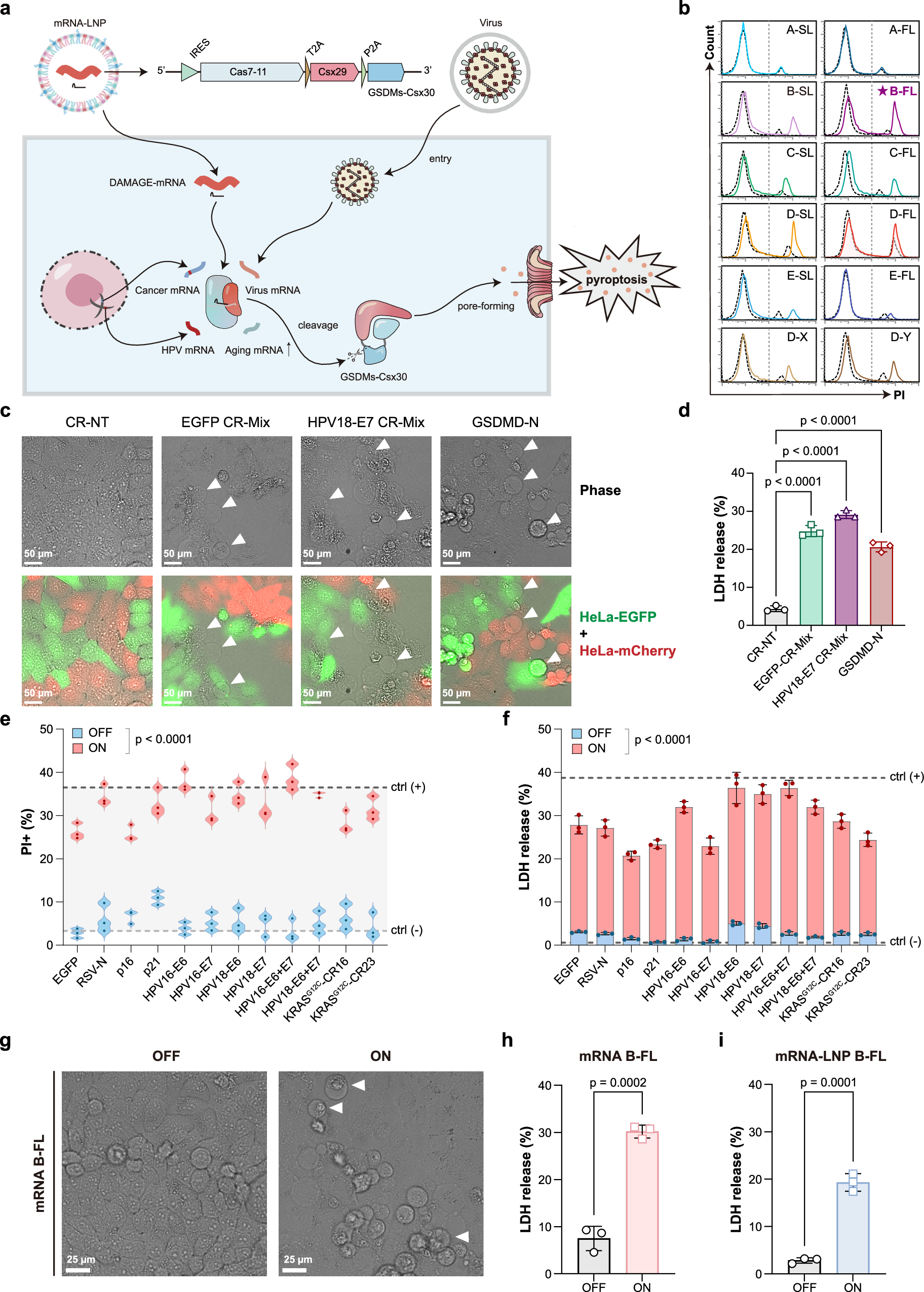 Fig. 6: The potential of DAMAGE in mRNA-LNP therapeutic applications.