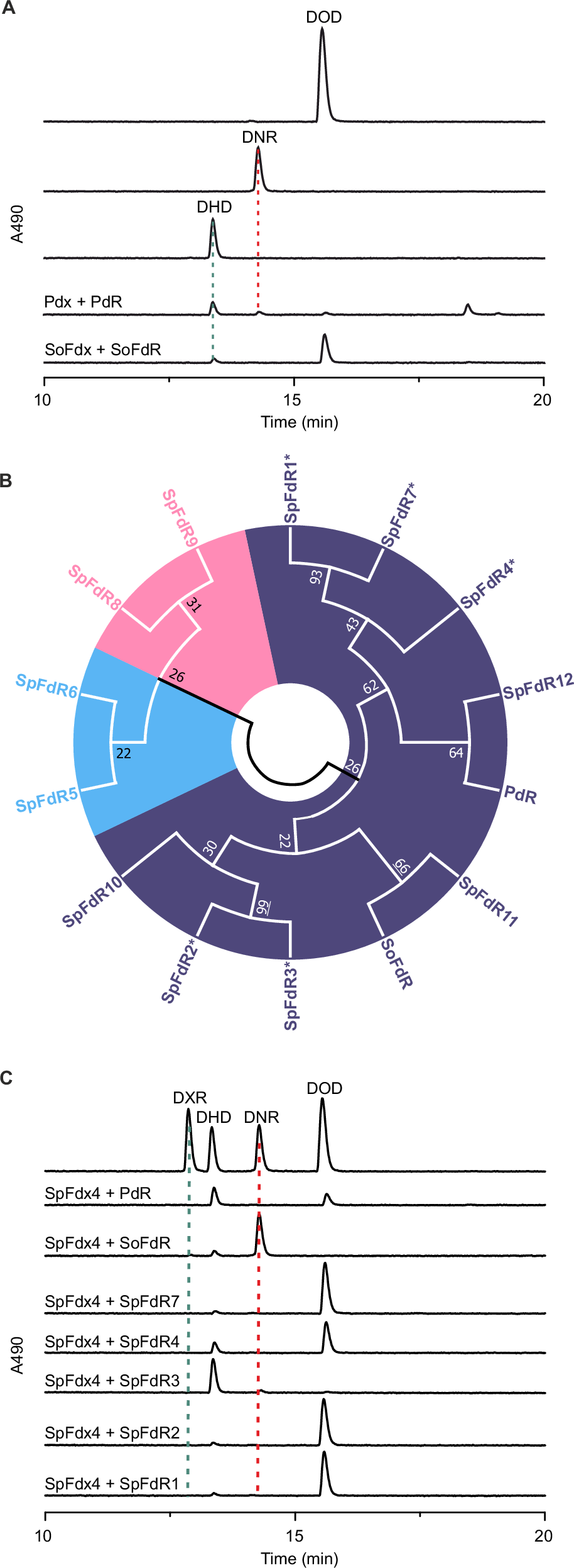 Fig. 3: Identification of the natural redox partners of DoxA.