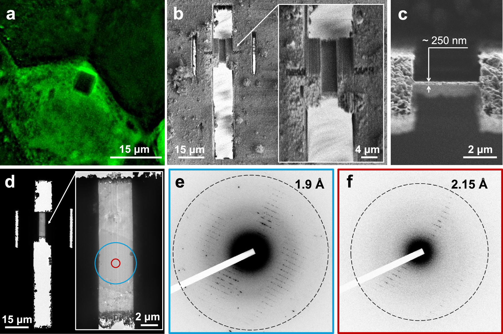 Fig. 3: Example of a prepared lamella containing an in celullo MgHEX-1 crystal and its electron diffraction (ED) characterization in a 200 kV cryo-TEM.