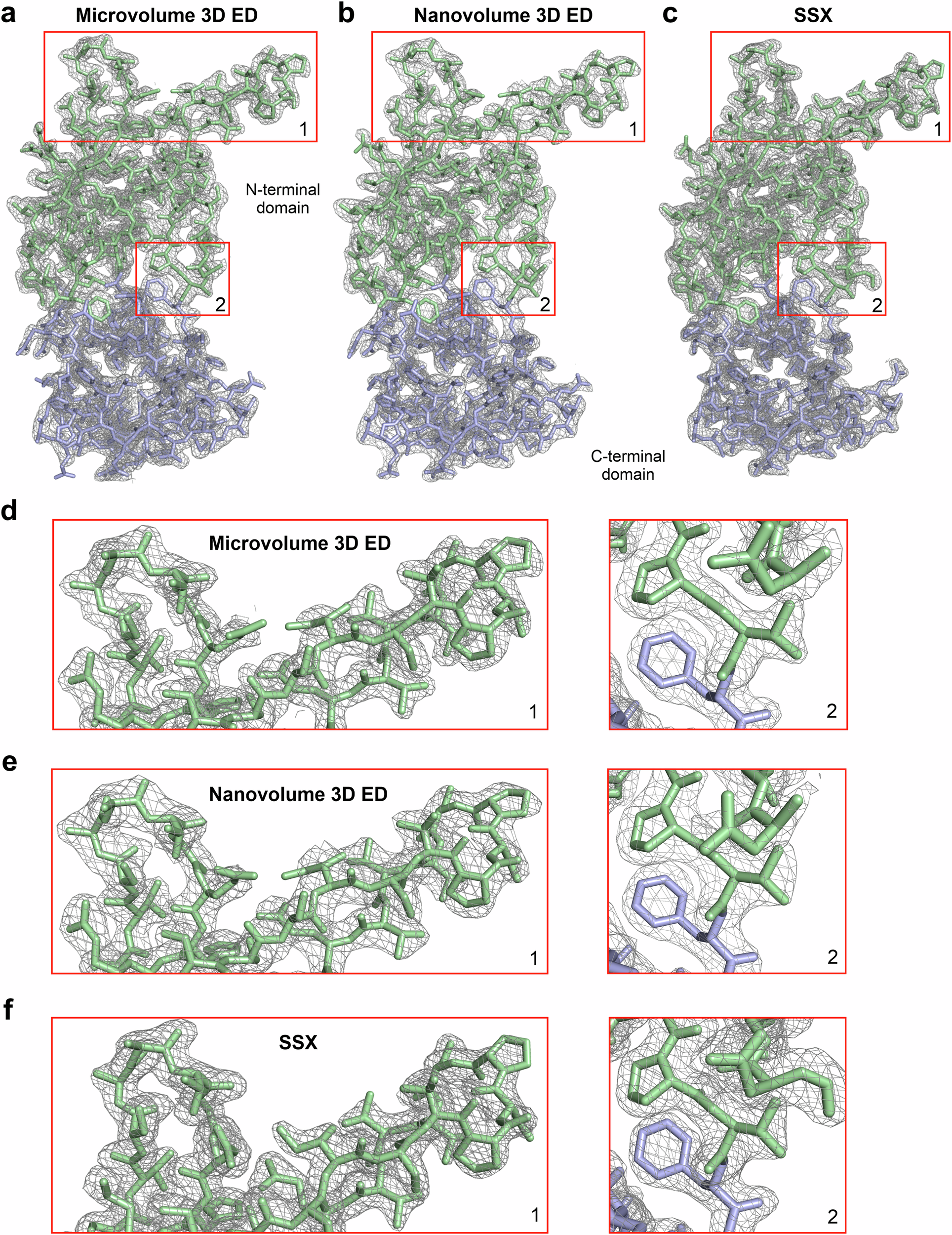 Fig. 4: High-quality electrostatic potential and electron density maps obtained from micro- and nano-volume 3D electron diffraction (ED) and serial synchrotron-radiation X-ray crystallography (SSX) data collected from in cellulo MgHEX-1 crystals.