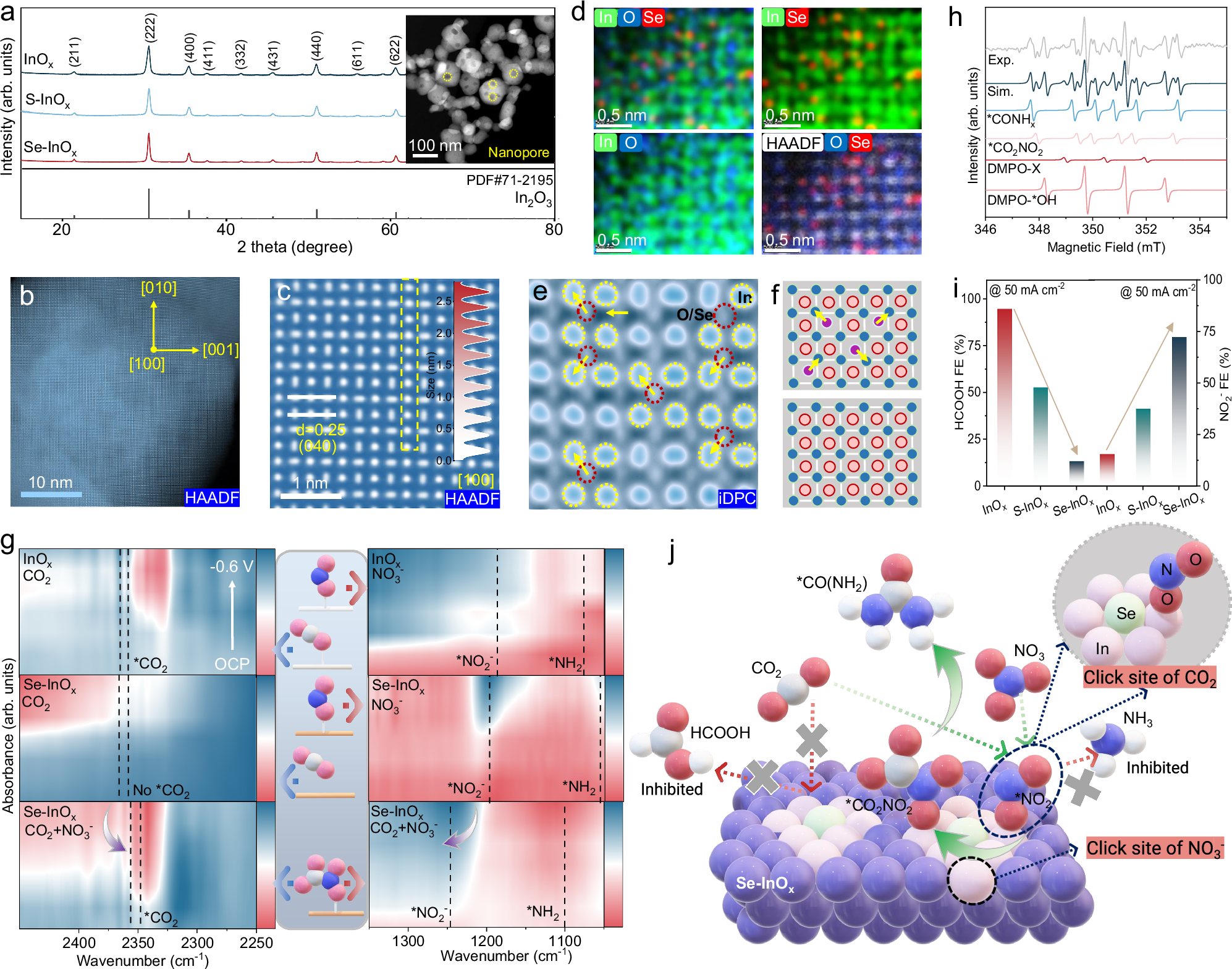 Fig. 3: Structural characterization and mechanistic insights into hierarchical click-sites.
