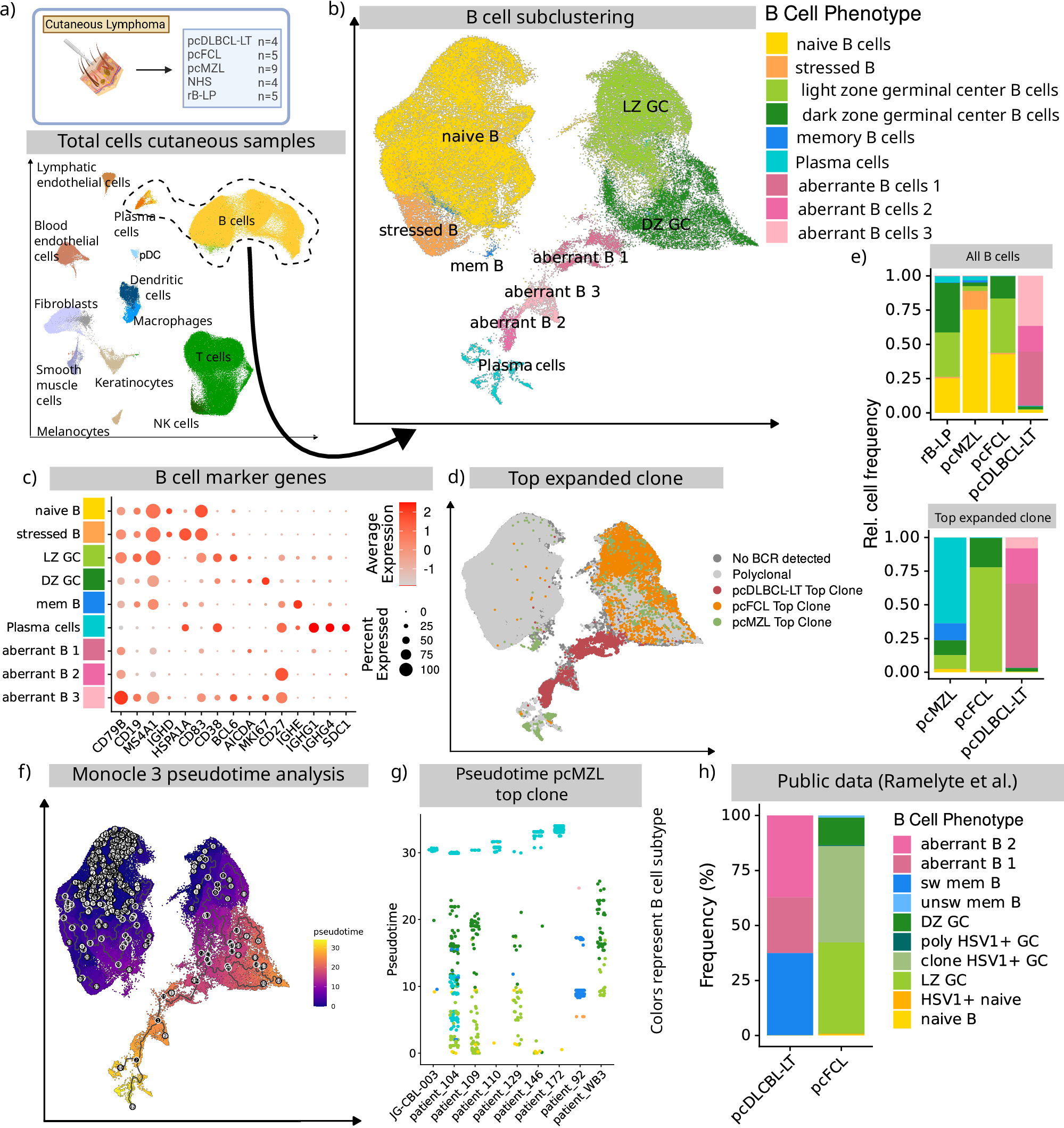 Fig. 1: scRNA-seq based characterisation of cutaneous B cells.