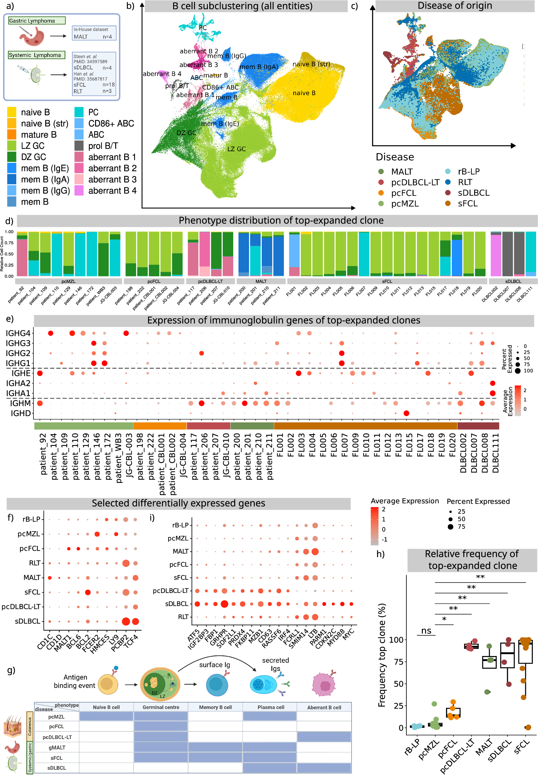 Fig. 3: Integration of B cells from CBCL samples with B cells from MALT, sFCL, sDLBCL, and reactive lymph nodes.
