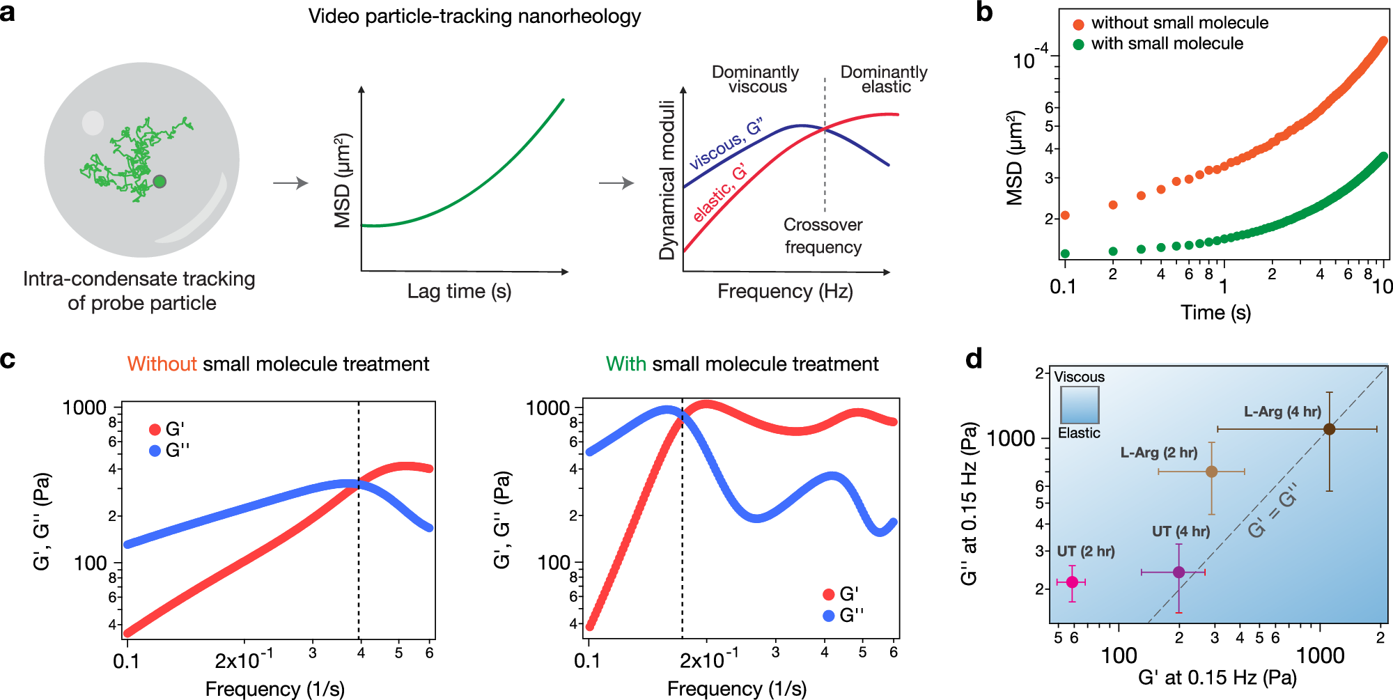 Fig. 5: Small molecule-mediated enhancement of condensate viscoelasticity.