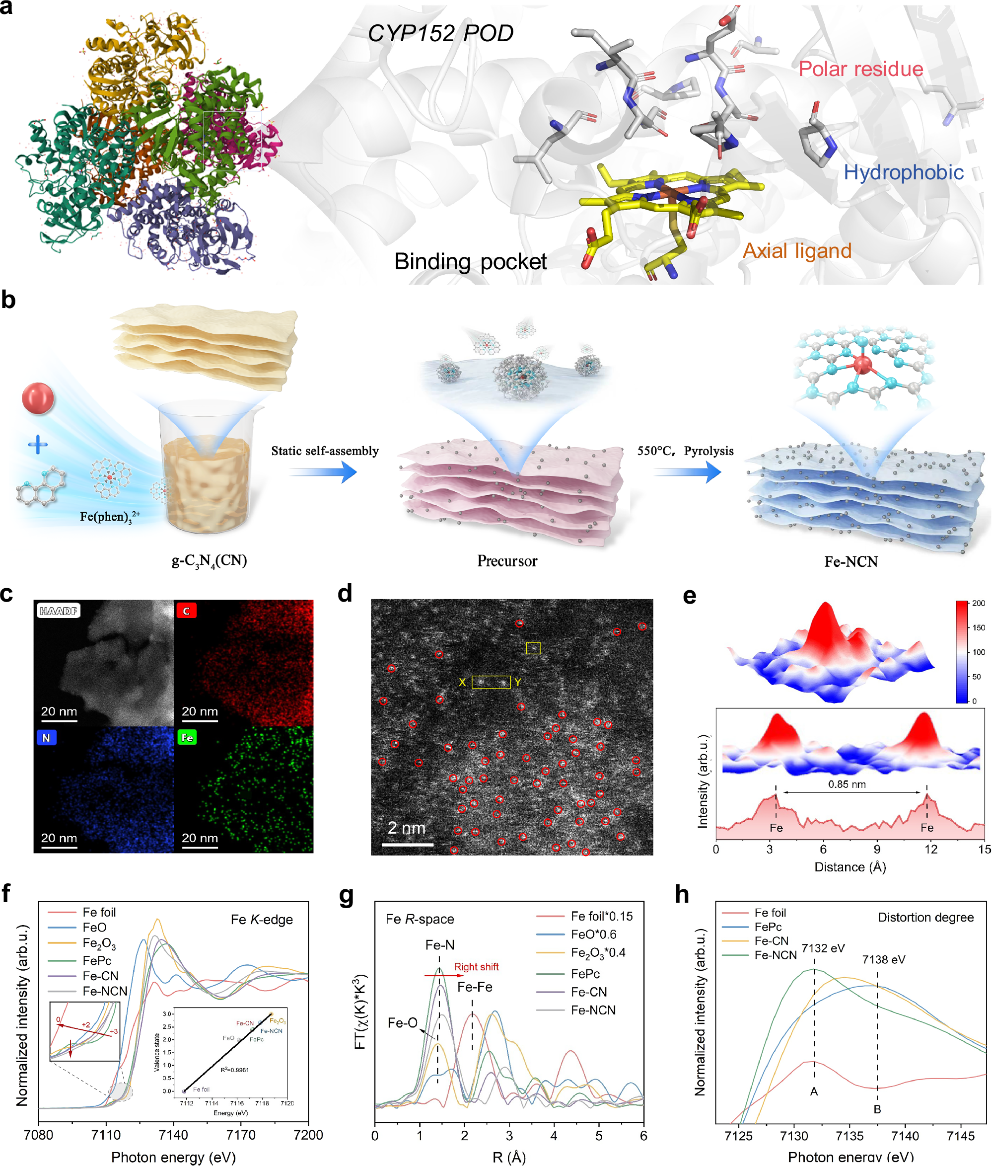 Fig. 1: Composition characteristics, local coordination environment and electronic structure of catalyst.
