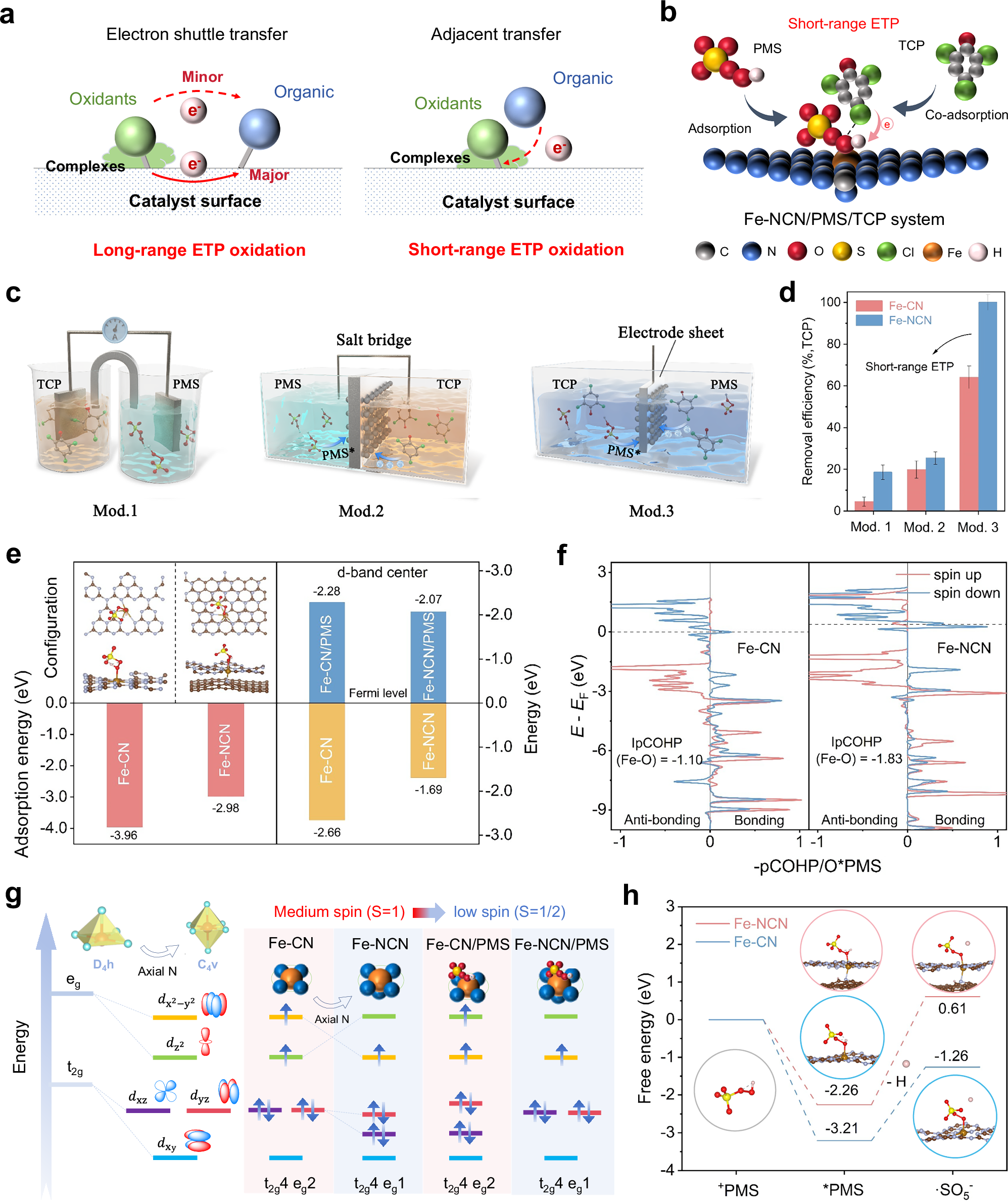 Fig. 3: Mechanistic investigation of axial ligand-induced catalytic pathway transitions.