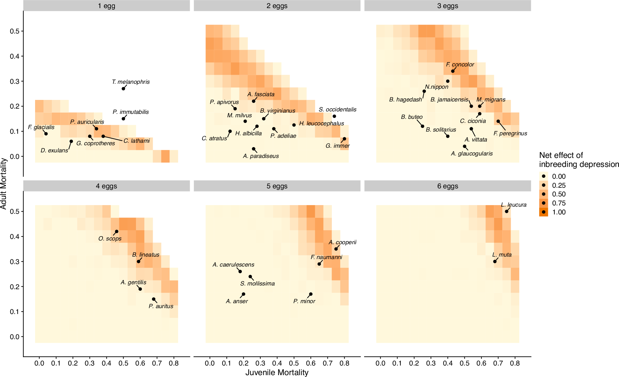 Fig. 5: The net effect of inbreeding depression on population recovery across broad parameter ranges of juvenile and adult mortality.