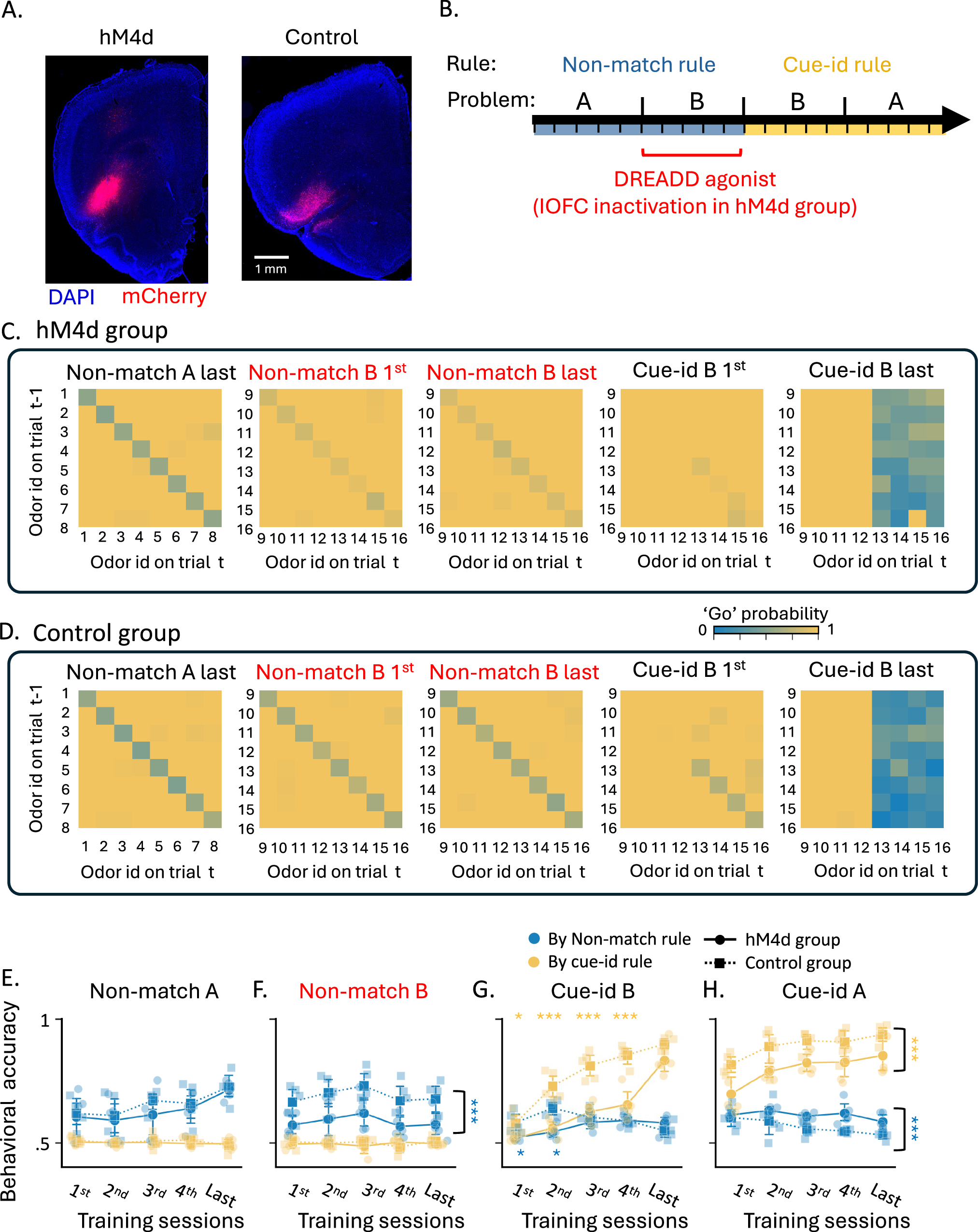 Fig. 8: Effects of OFC inactivation on the learning of orthogonal rules.