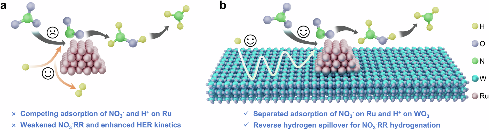 Fig. 1: Schematic illustration of the adsorption pathways for protons and nitrates on different catalytic models, highlighting their advantages and disadvantages.