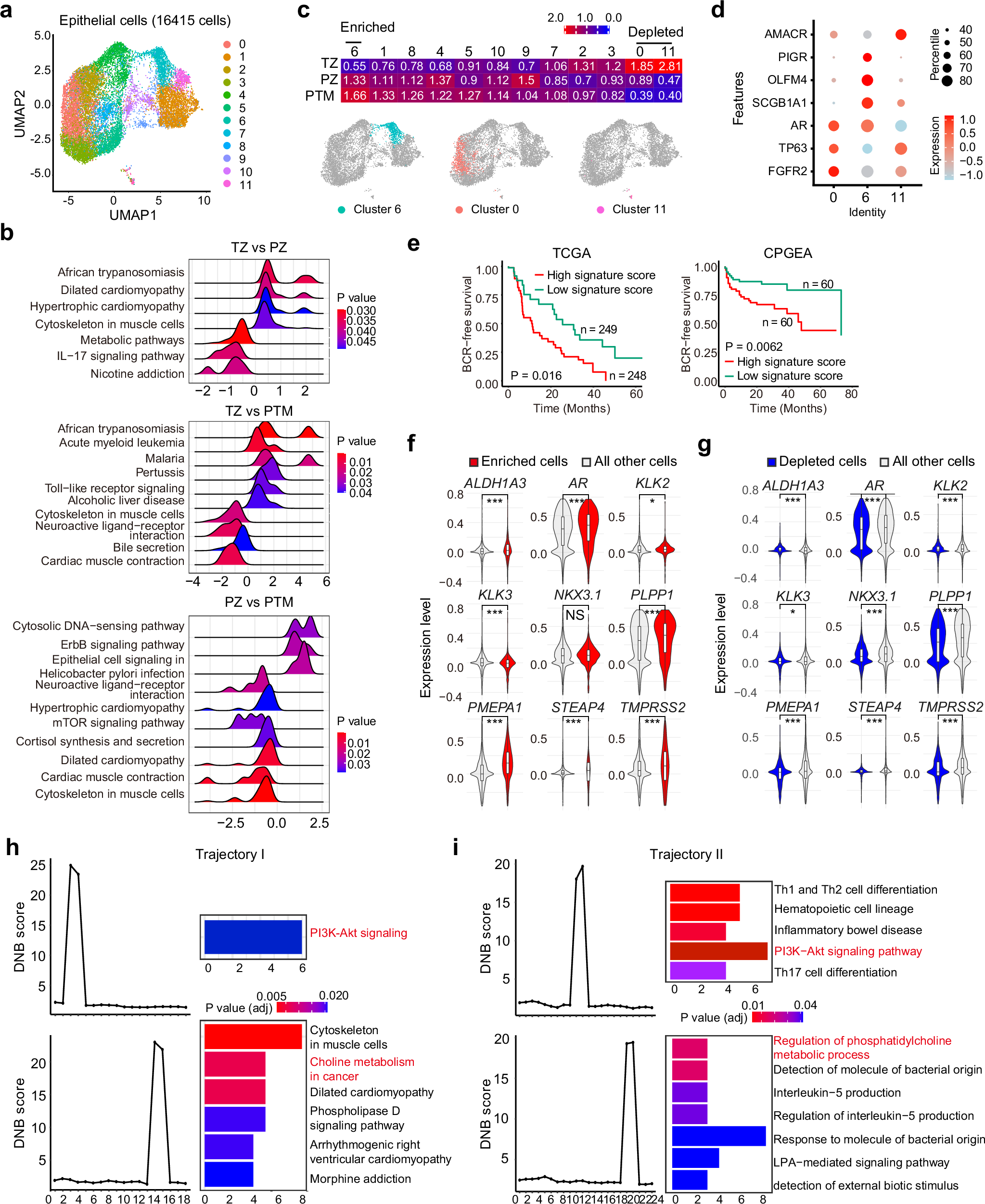 Fig. 3: Characteristics of epithelial cells within three cohorts.
