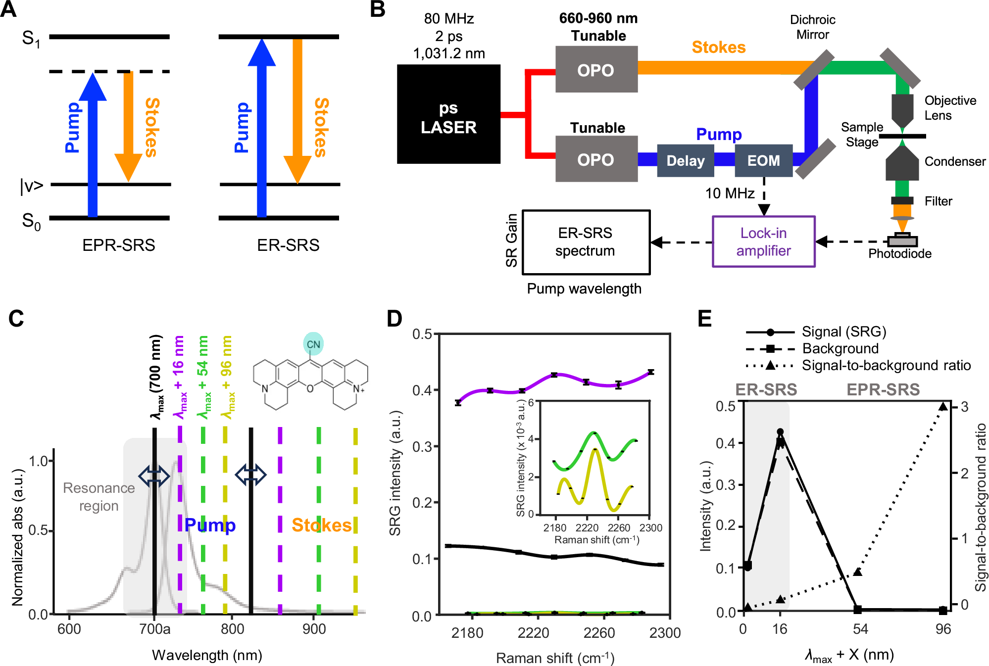 Fig. 1: Independently tunable ER-SRS microscope and its application to Rho800 fluorophore.