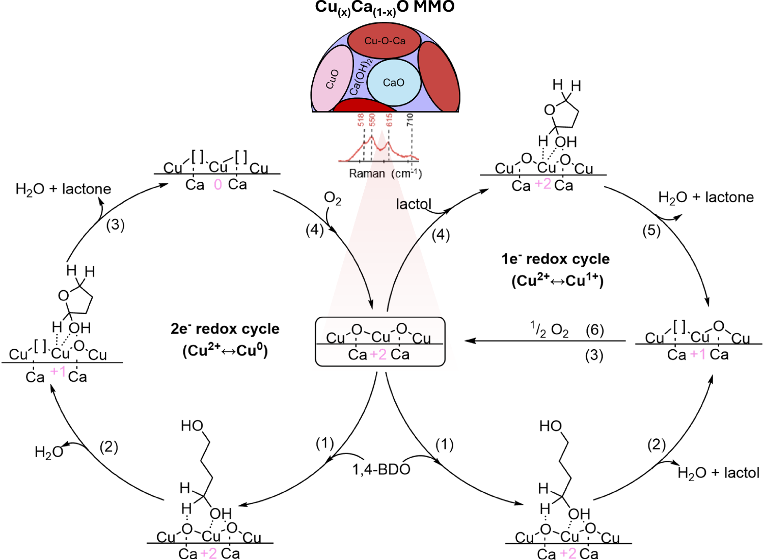 Fig. 7: Proposed reaction mechanism for oxidative dehydrocyclization of liquid diol to lactone over Cu(x)Ca(1-x)O MMO catalyst.