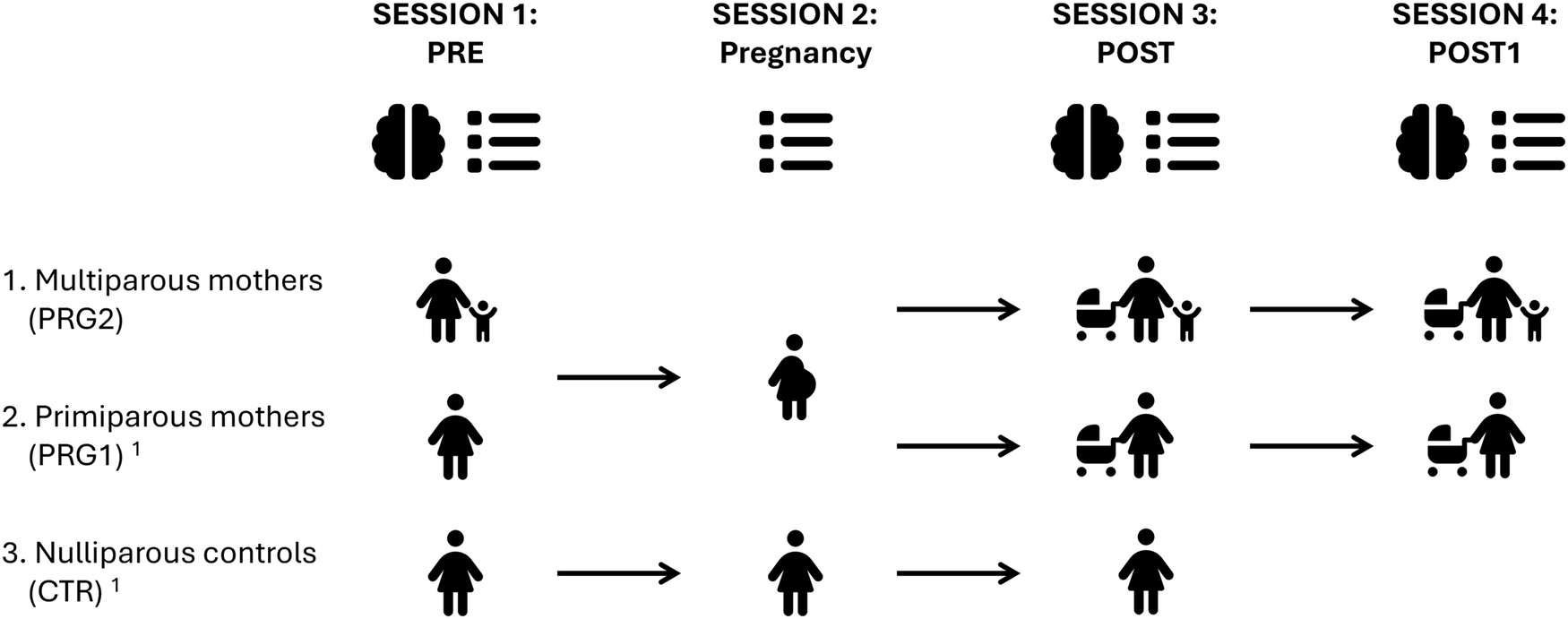 Fig. 6: Study design.