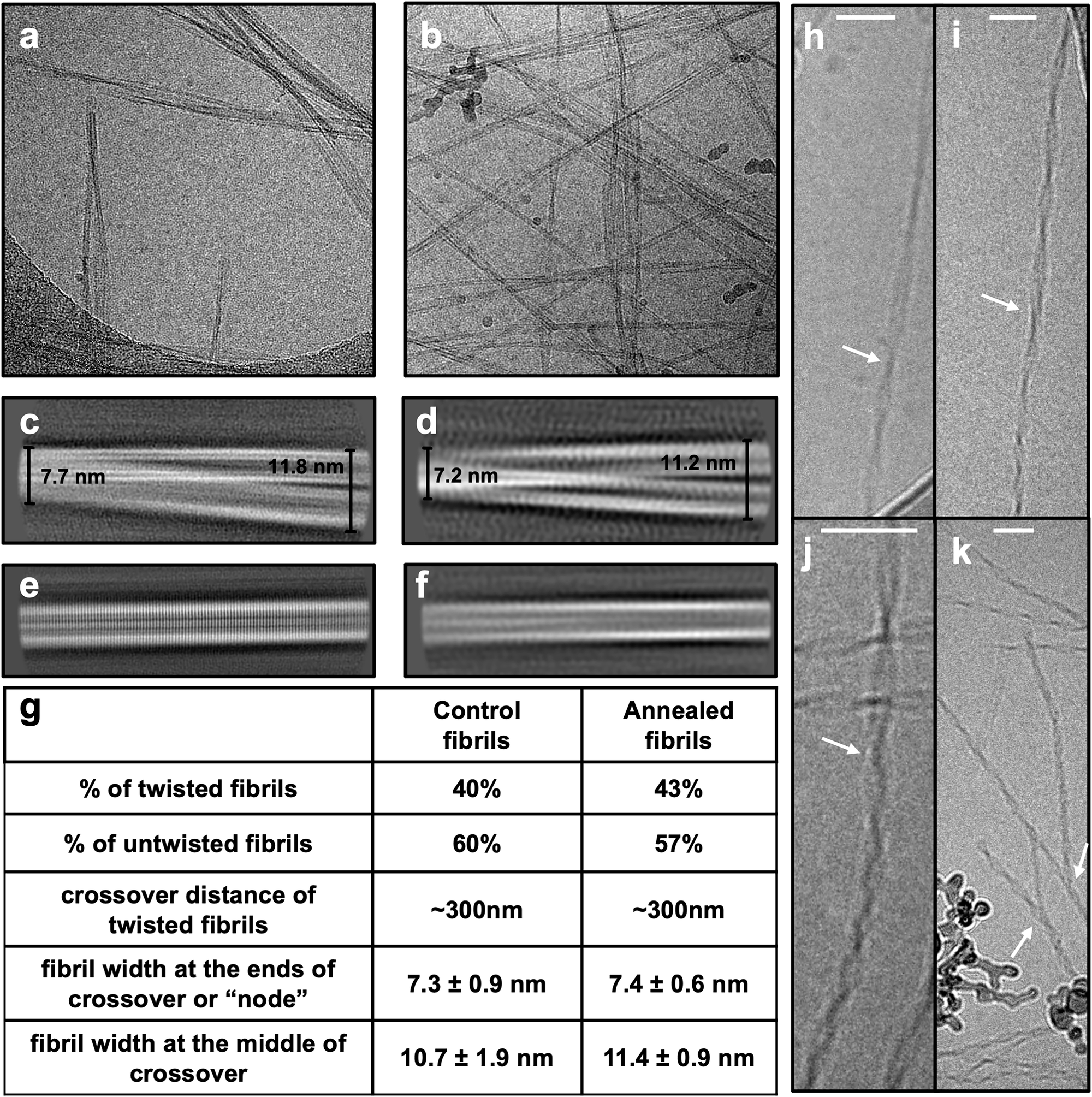 Fig. 4: Cryo-EM data processing and statistics of control fibrils vs annealed fibrils.