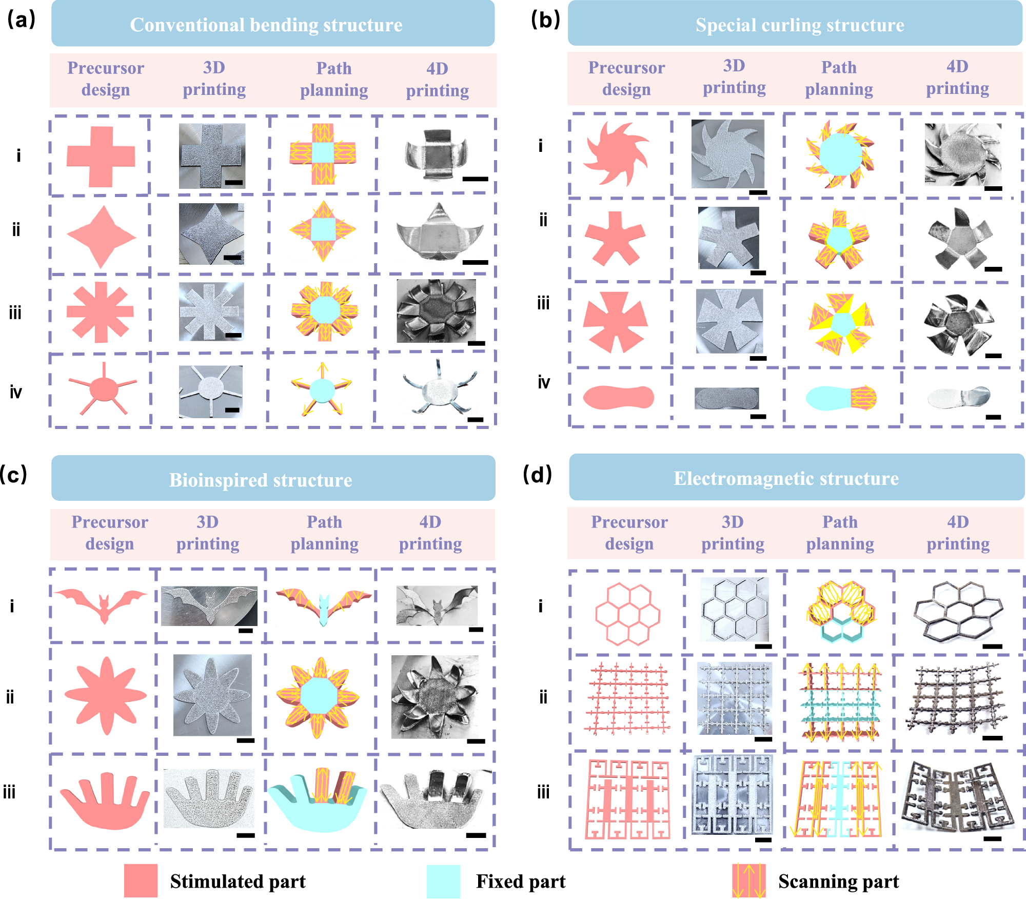 Fig. 2: Experimental investigation of the shape-morphing processes from 2D to 3D.