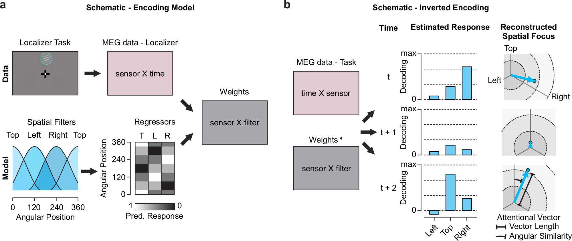 Fig. 2: Reconstructing the locus and strength of spatial attention with inverted encoding models.