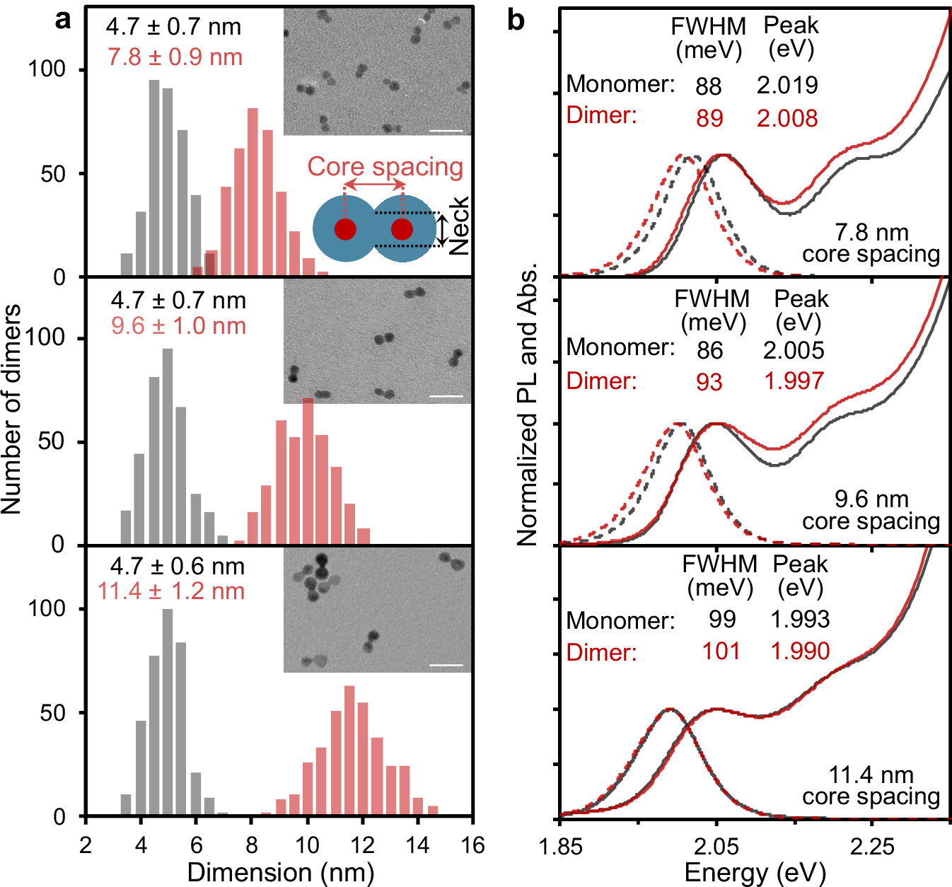 Fig. 3: Control on neck dimensions and core-spacing of the (11
                        $$\overline{2}$$
                        
                          
                            
                              2
                            
                            ¯
                          
                        
                      0)-attached homodimers.