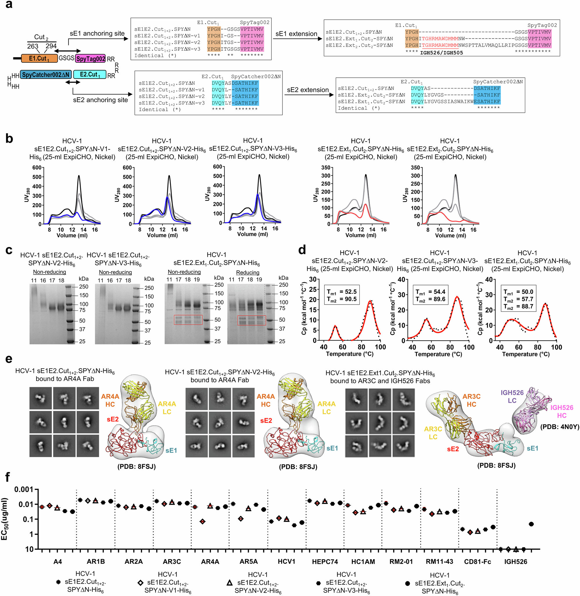 Fig. 4: Impact of design variation on sE1E2 folding, antigenicity, and structure.
