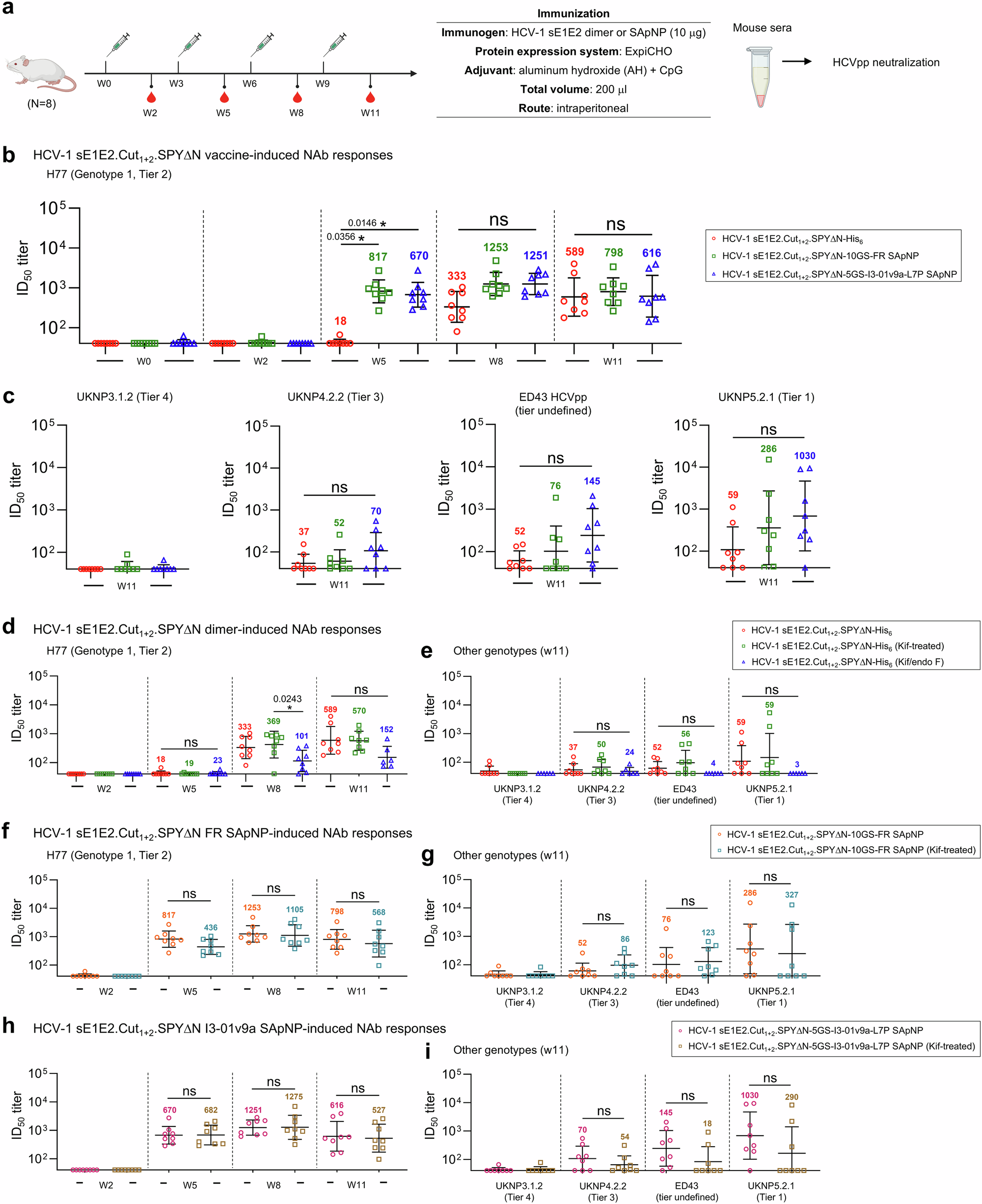 Fig. 6: Antibody responses to rationally designed HCV-1 sE1E2.Cut1+2.SPYΔN heterodimer and SApNP vaccines in mice.