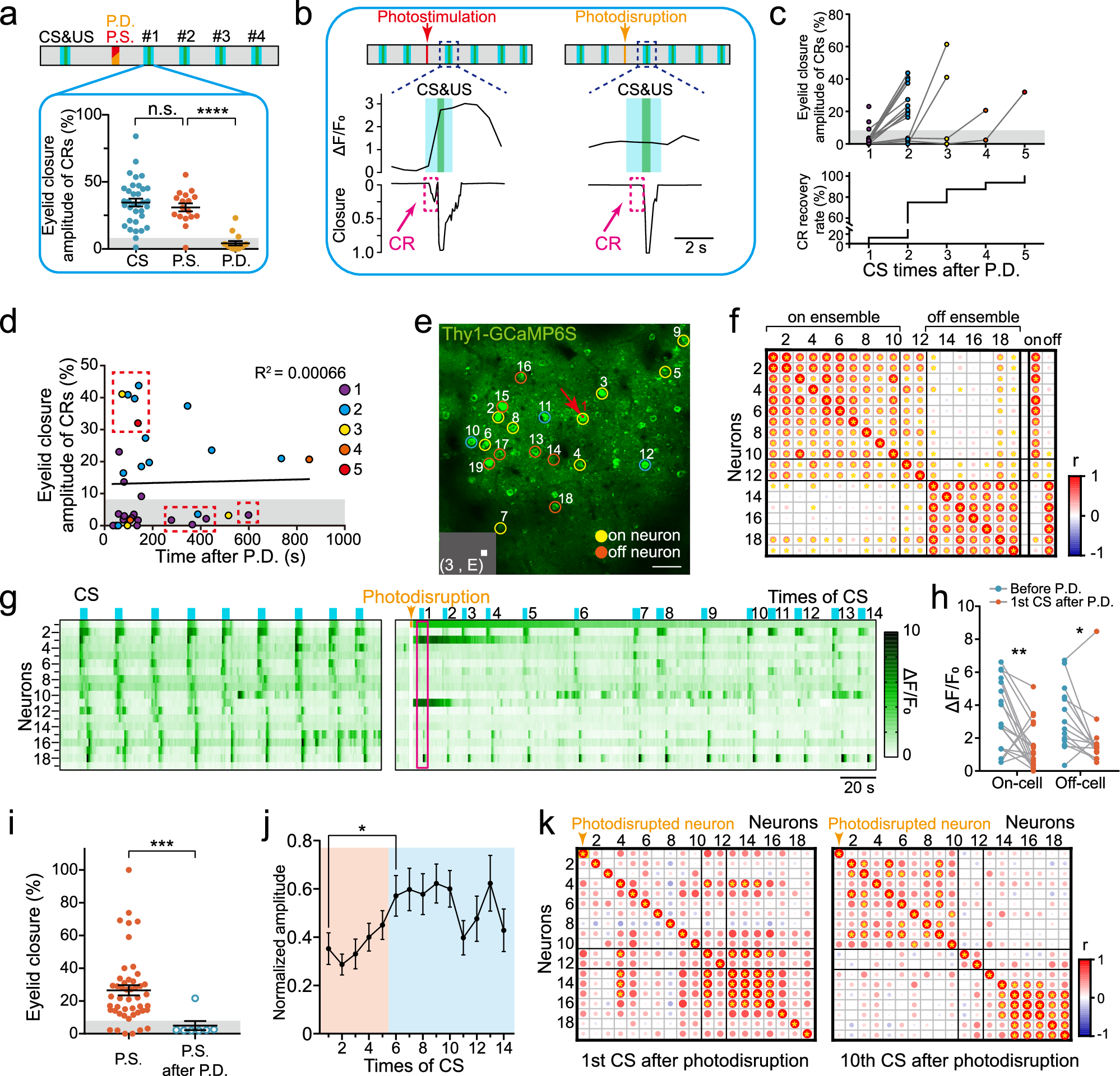 Fig. 7: Disruption of one single neuron induces transient failure of eyeblink and ensemble response to visual stimuli and fast recovery.
