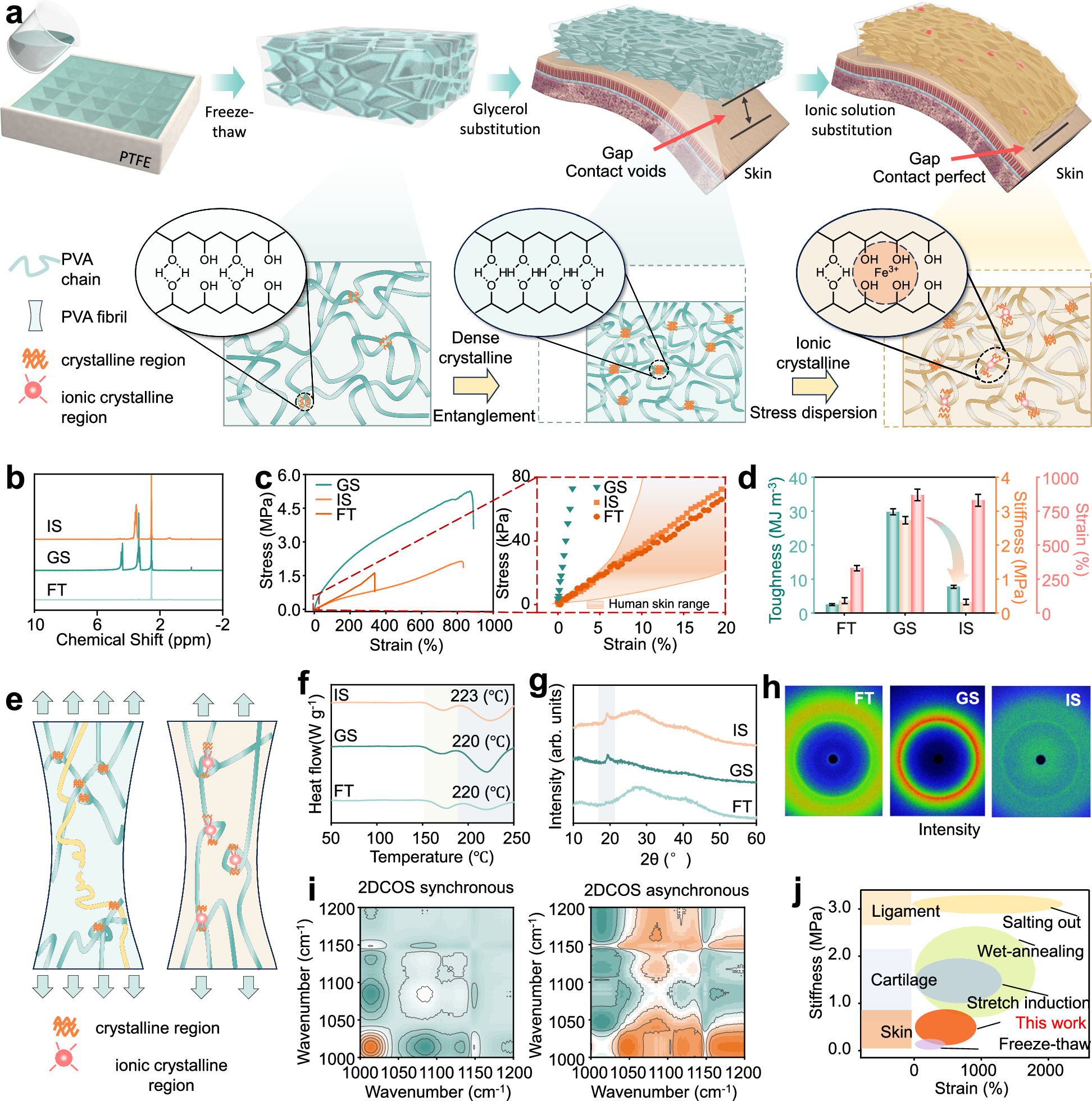 Fig. 2: Preparation and material properties of PVA hydrogels through sequential solvent substitution.
