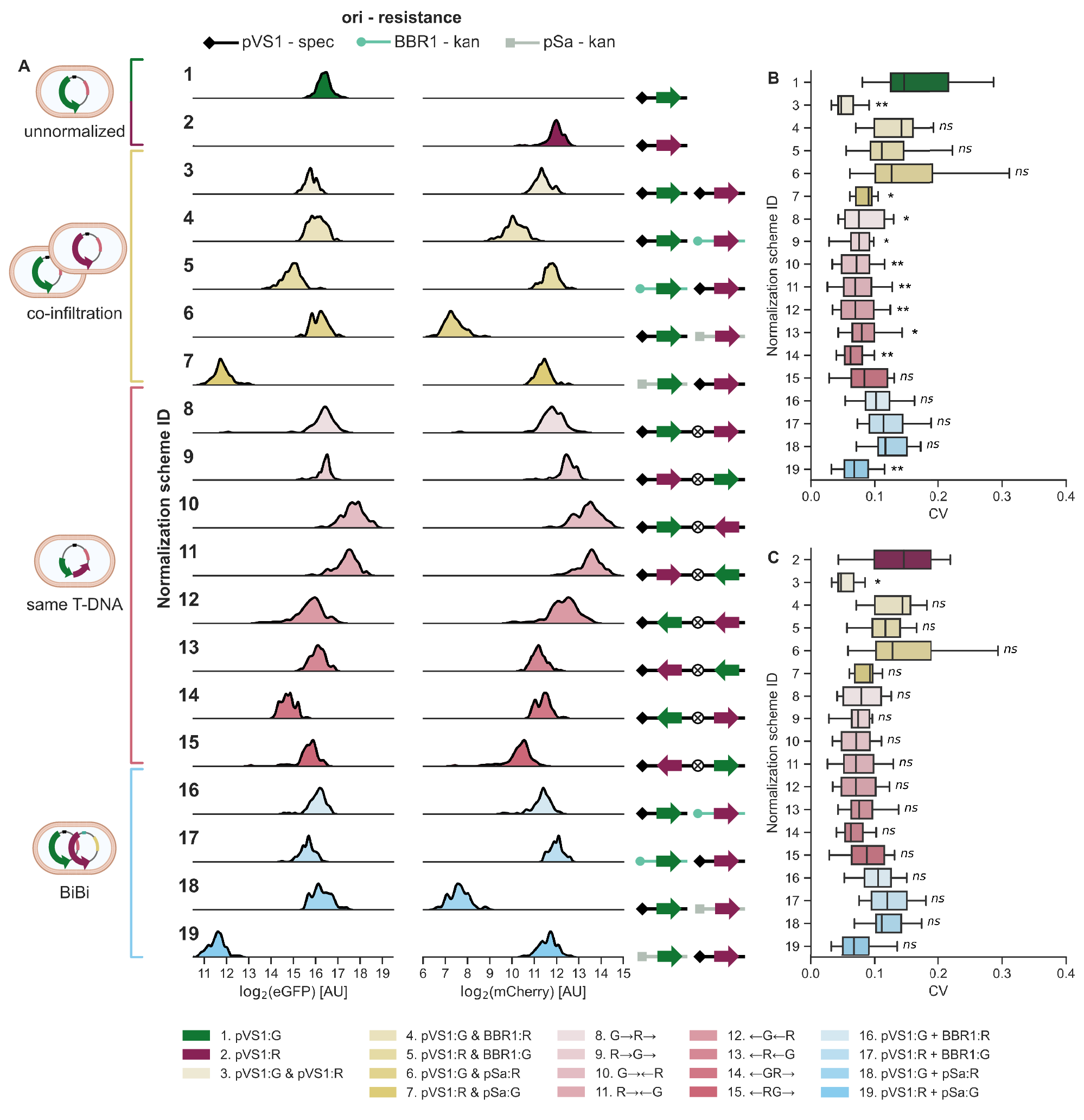 Fig. 2: Comparison of three discrete methods to deliver normalizing reporters.