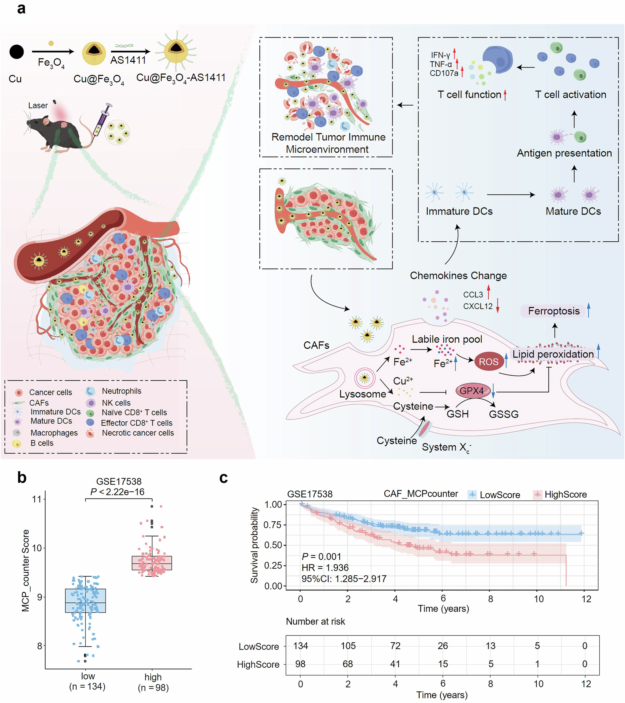 Fig. 1: The treatment strategy targeting CAFs to ameliorate the immune TME of CRC.