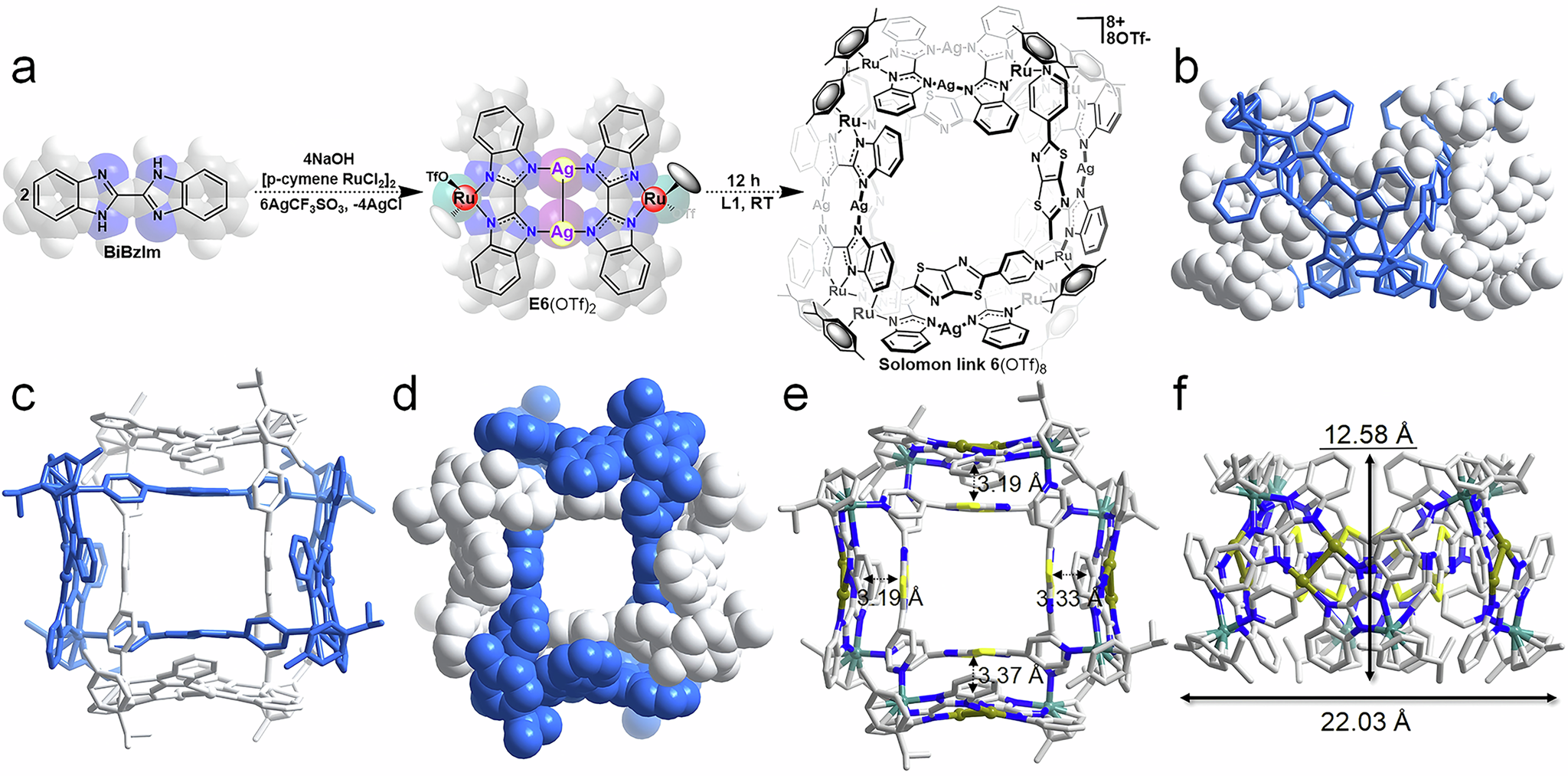 Fig. 5: The structure of Solomon link.