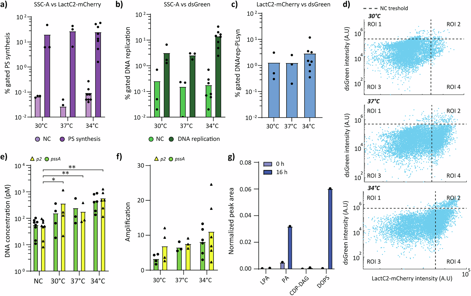 Fig. 2: Validation of DNArep and PLsyn protein activity inside gene-expressing liposomes at different incubation temperatures.