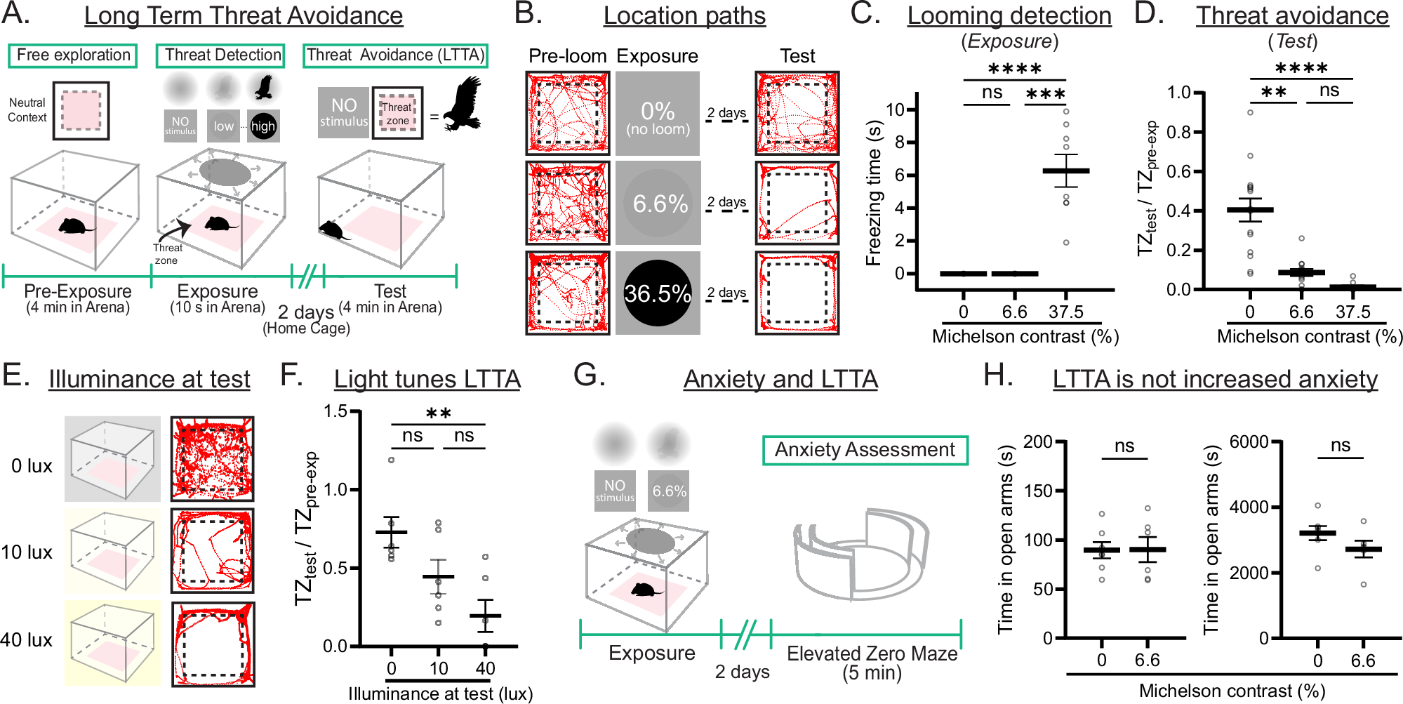 Fig. 1: A paradigm to measure long-term threat avoidance (LTTA).