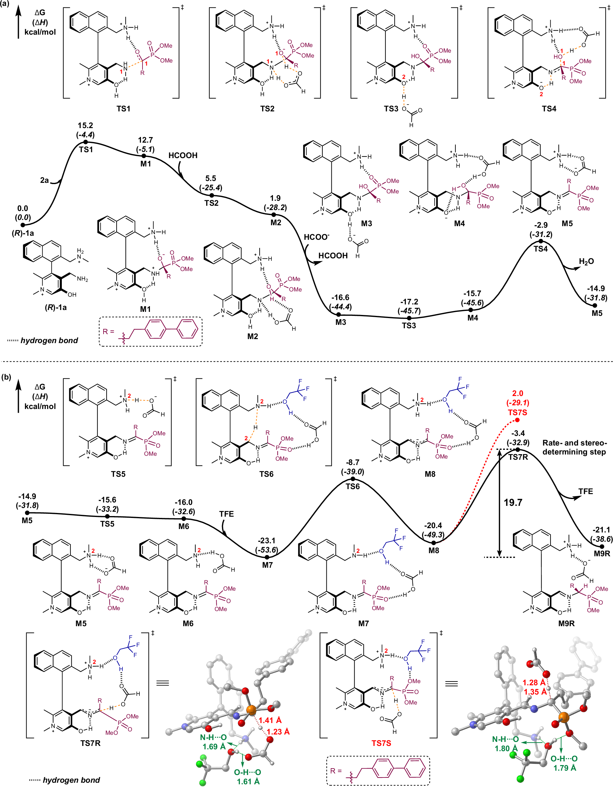 Fig. 5: Energy profiles and geometries of key transition states for the transamination of α-keto phosphonate.