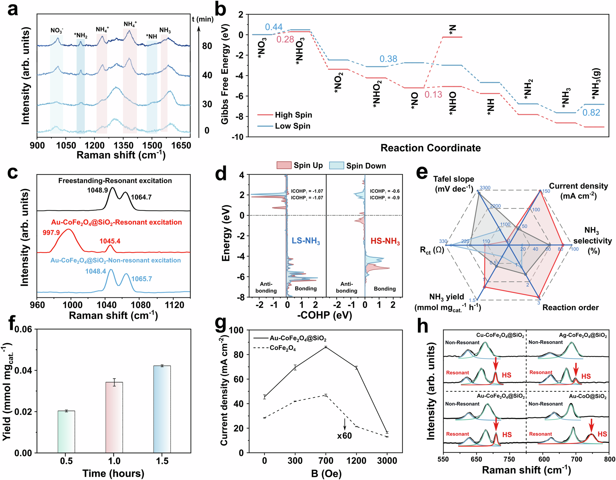 Fig. 5: Catalytic mechanism and applicability.