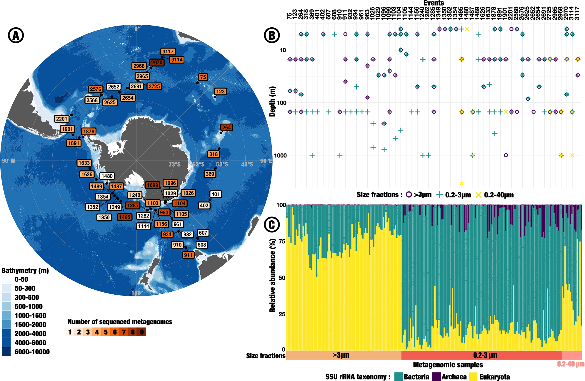 Water mass specific genes dominate the Southern Ocean microbiome 