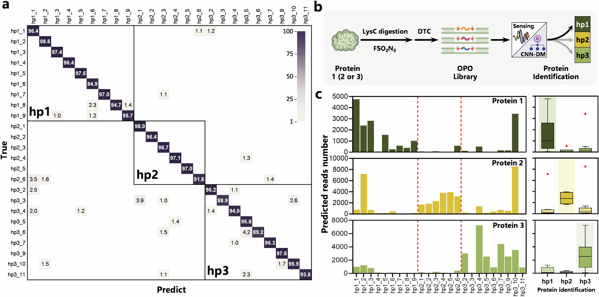 Fig. 5: Protein identification.