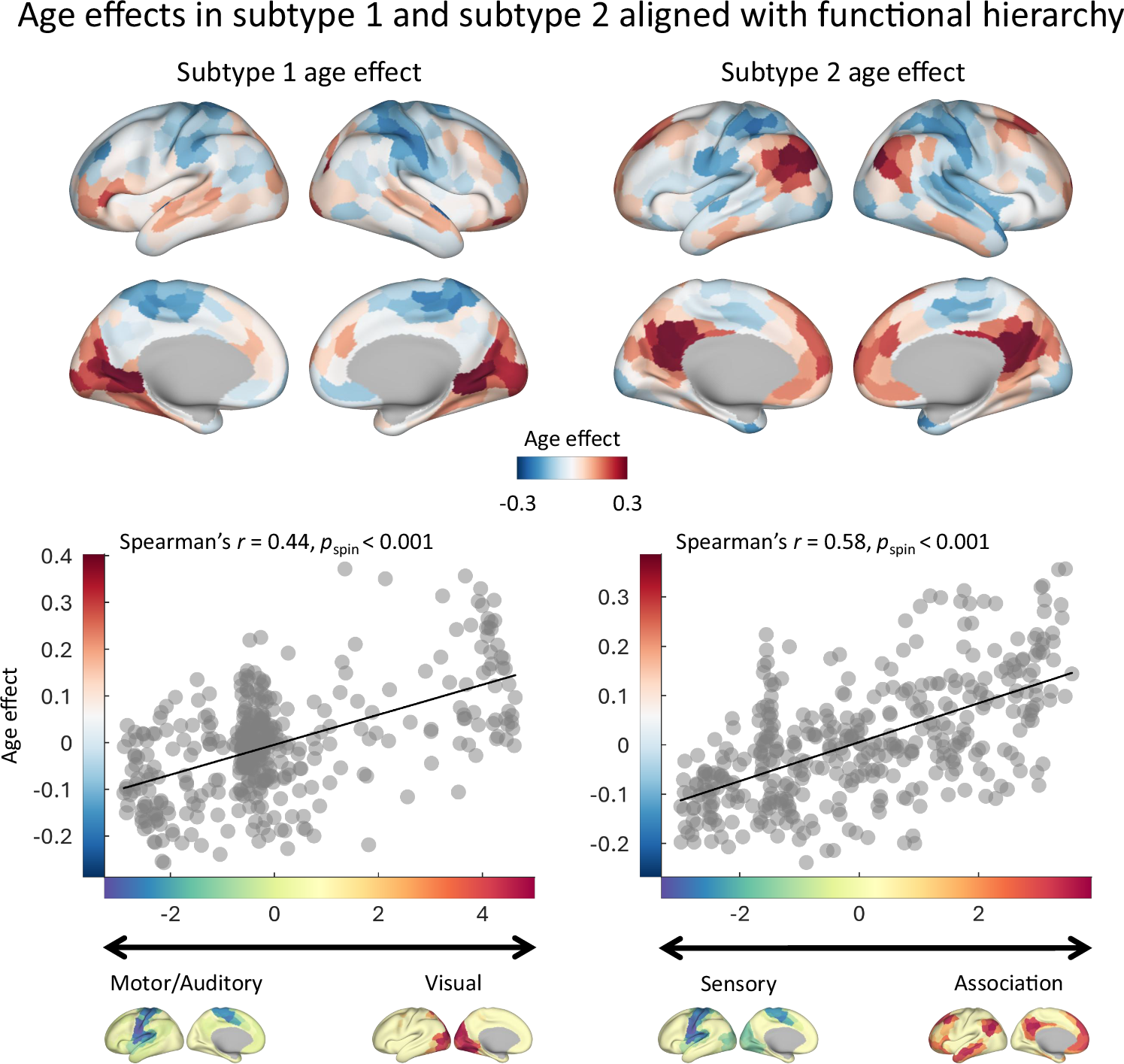 Fig. 4: Age effects in subtype 1 and subtype 2 aligned with two functional hierarchical axes.