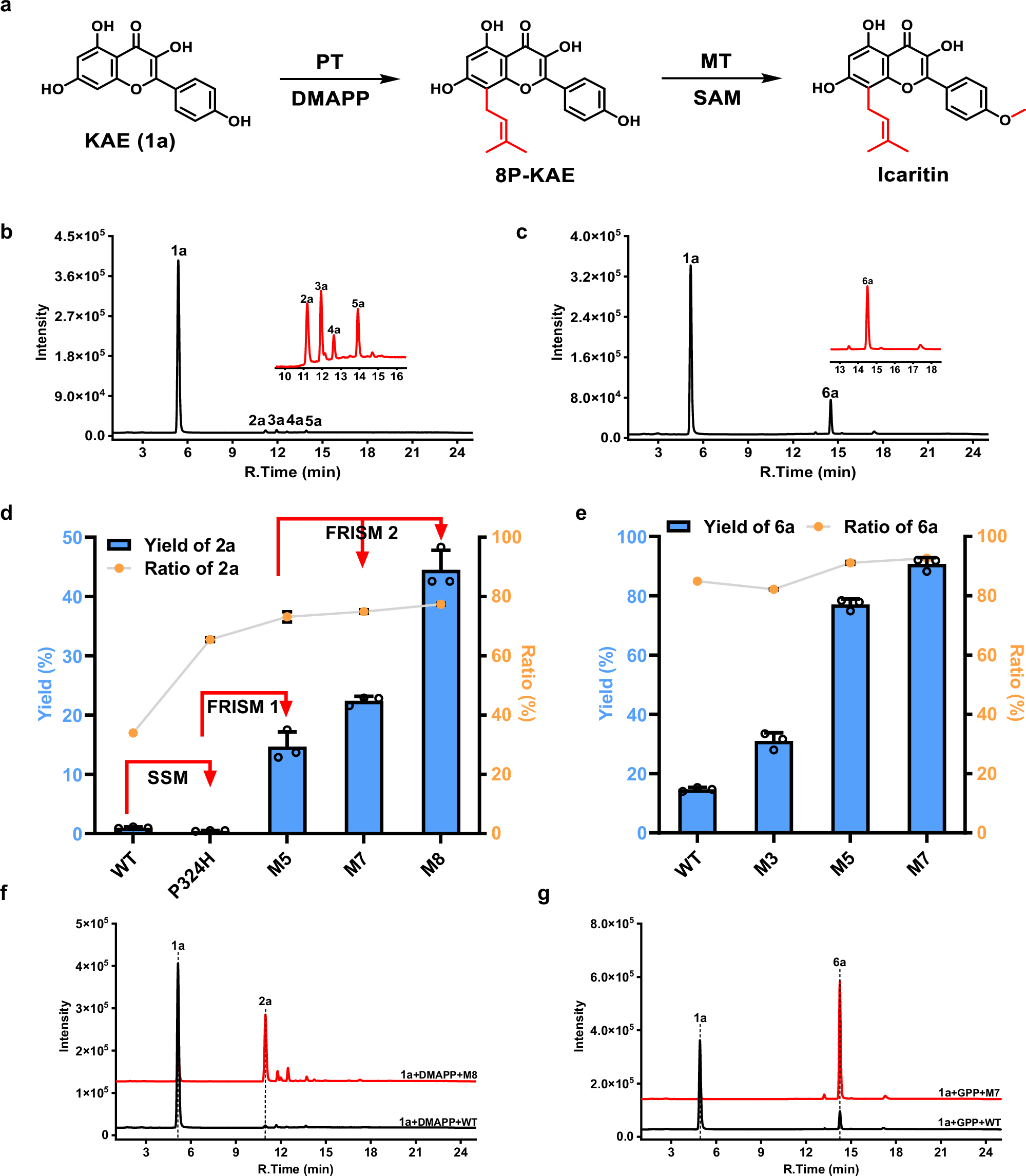 Fig. 2: Evolution of AtaPT for efficient synthesis of prenylated kempferol derivatives.