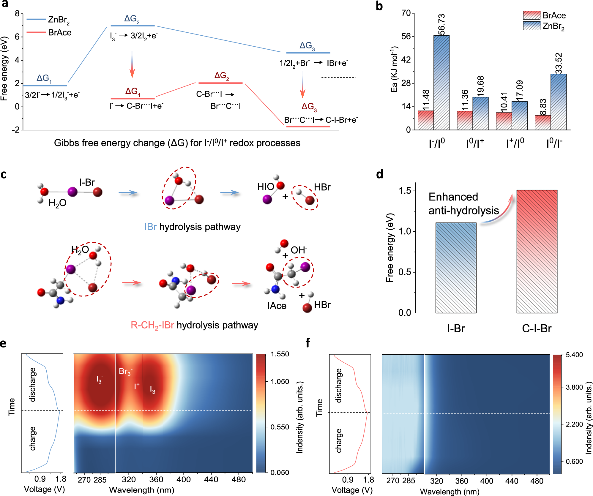 Fig. 4: Energy barriers for formation and hydrolysis of charged products.