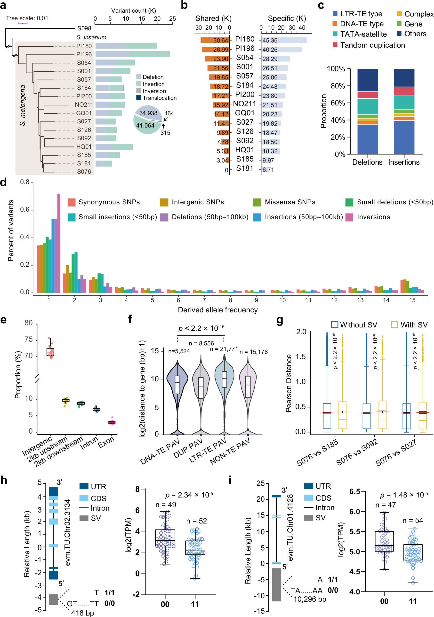 Fig. 3: Structural variations in eggplant.