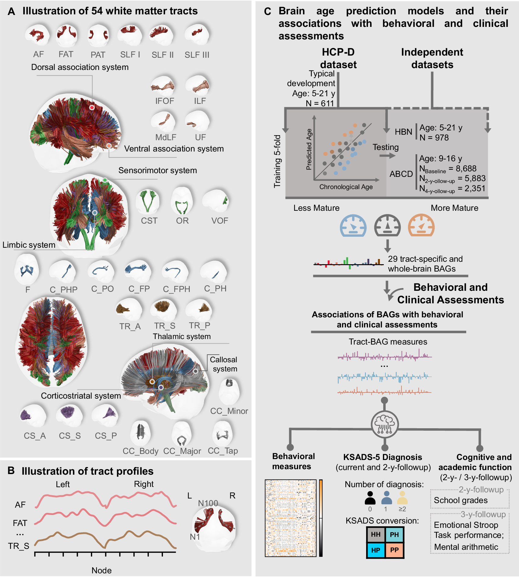 Fig. 1: Overview of study design.