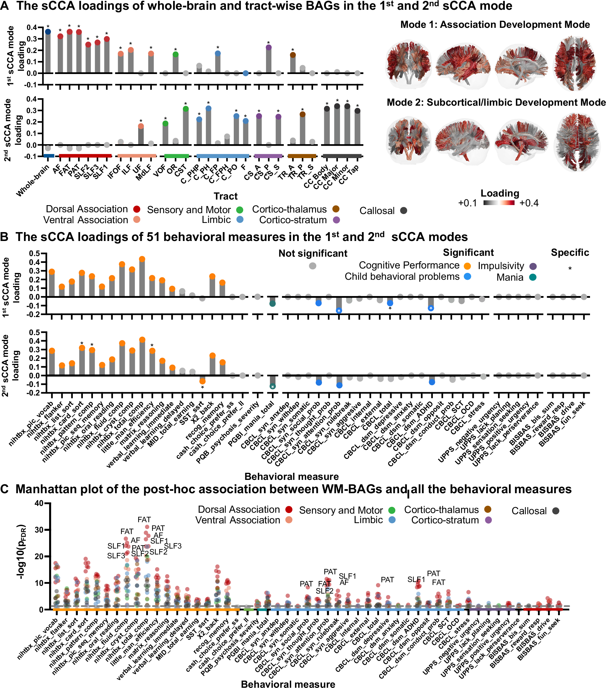 Fig. 2: Multivariate associations between tract-based brain age gaps (BAGs; with age-bias correction) and behavioral assessments using sparse canonical correlation analysis (sCCA).