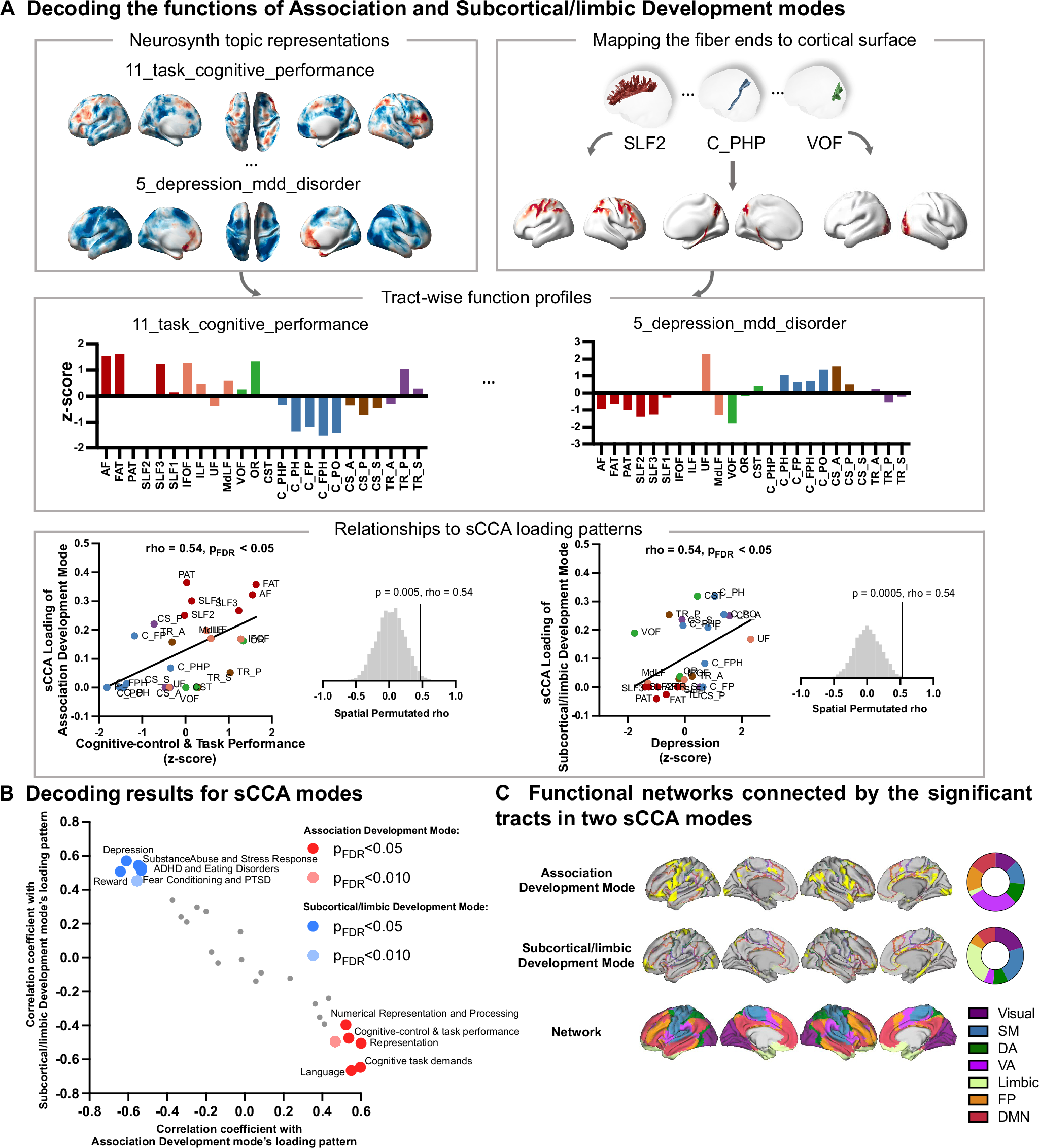 Fig. 3: Results of tract-based functional decoding analysis.