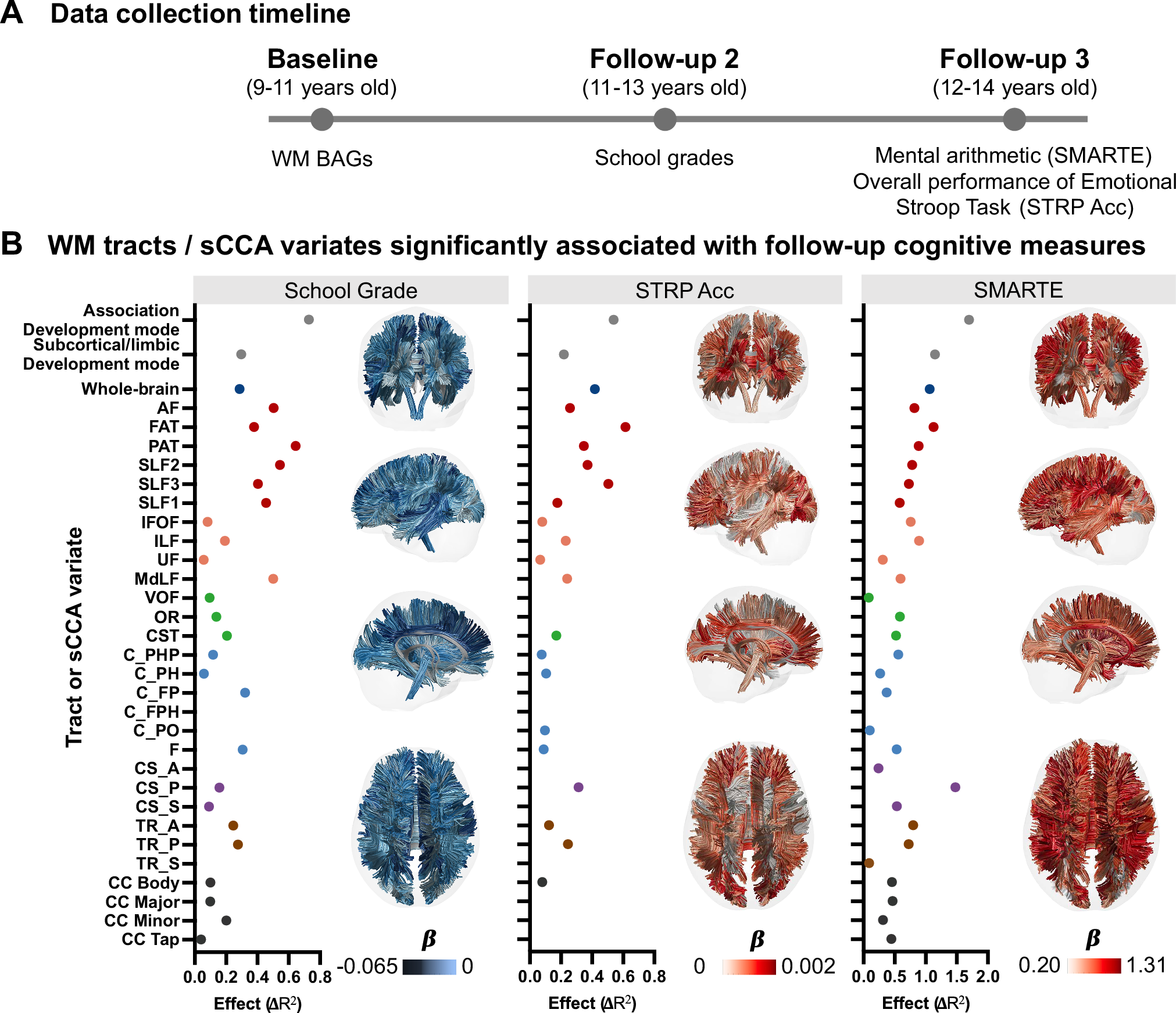 Fig. 5: Relationships between baseline tract-BAG measures and cognitive performance at follow-ups.