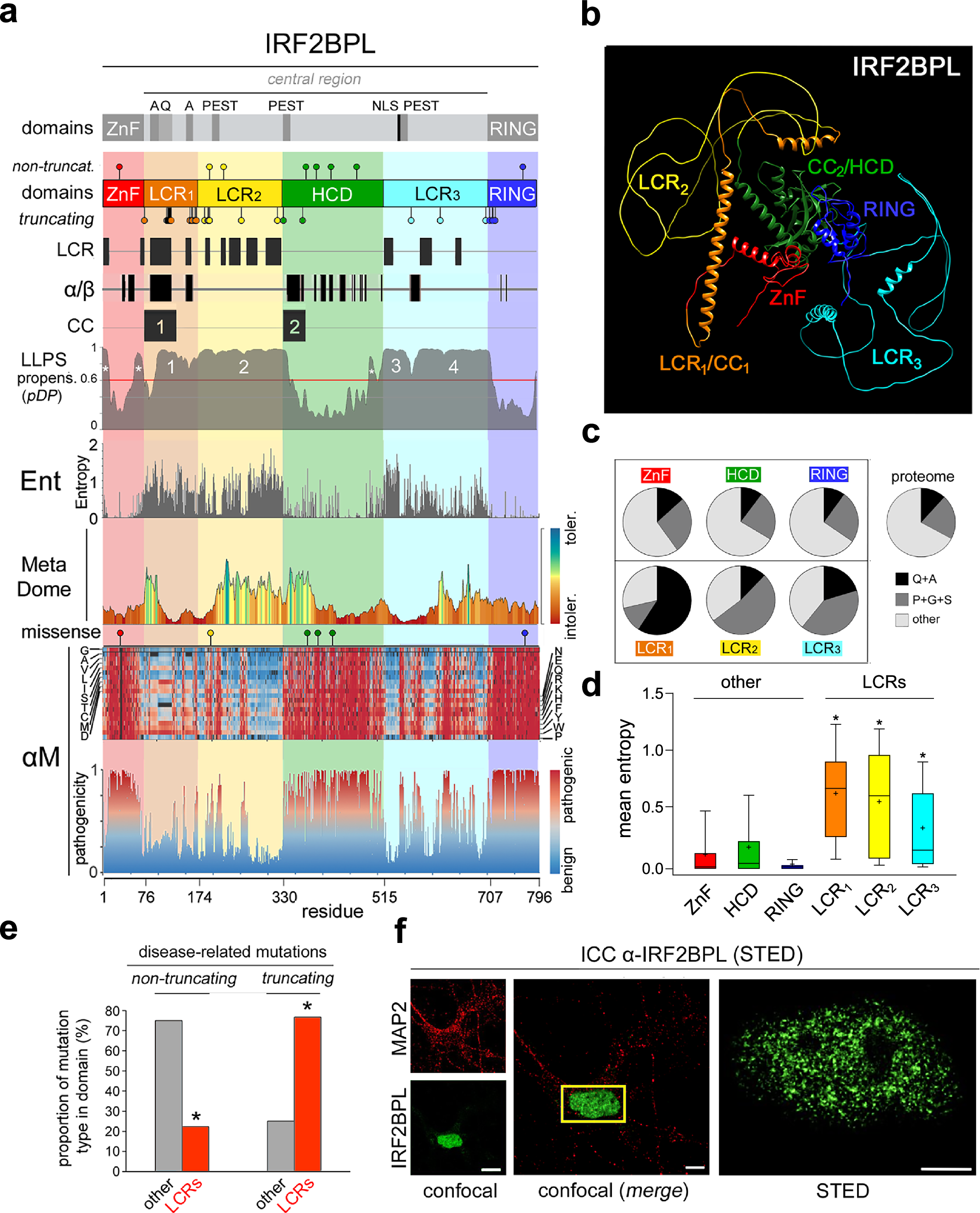 fake saluta injectable glutathione NEDAMSS syndrome-related truncating and missense mutations are associated with aberrant liquid-liquid phase separation of IRF2BPL Why Drinking Water Isn't