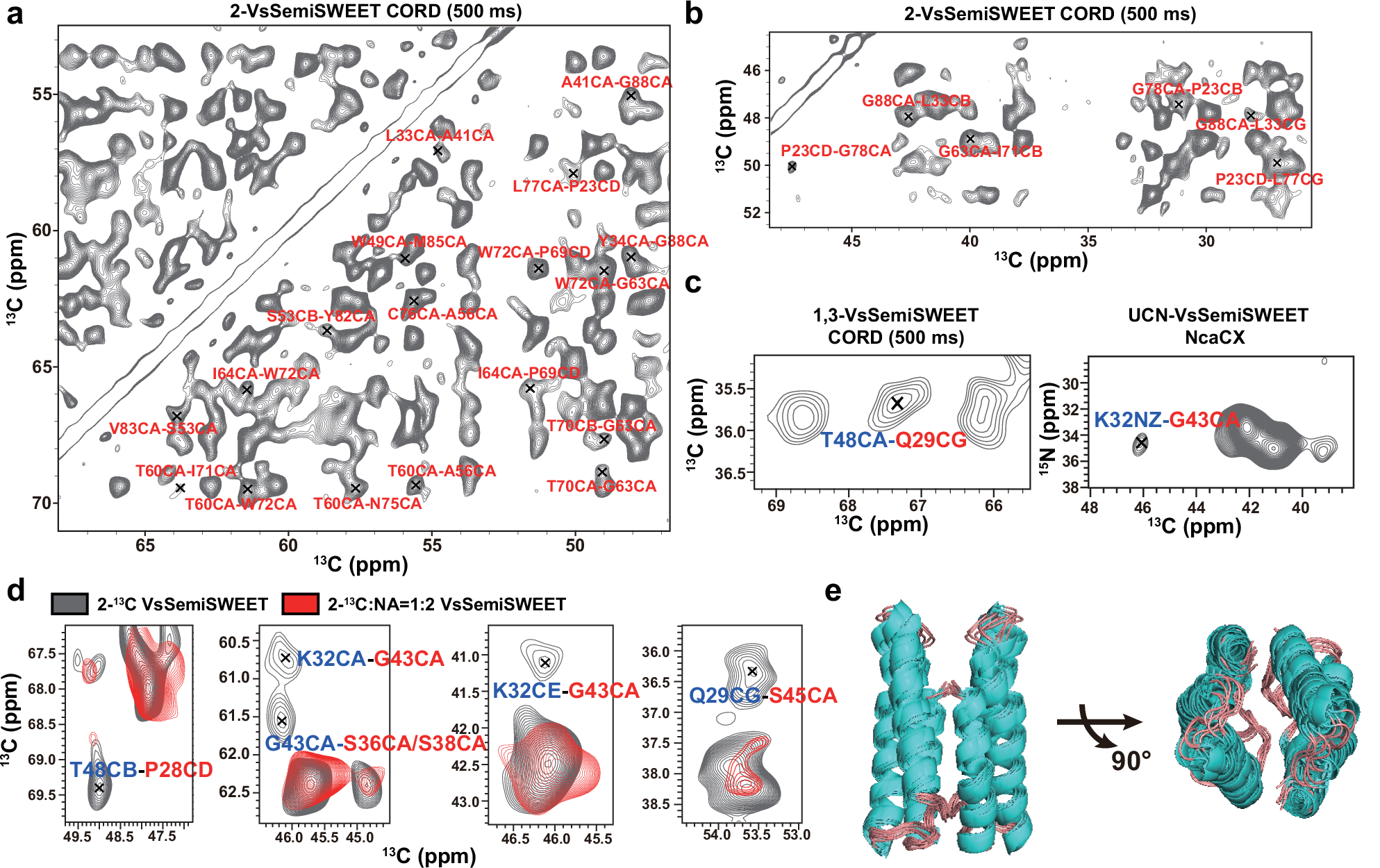 Fig. 2: Three-dimensional structure of VsSemiSWEET in lipid bilayers determined by ssNMR.
