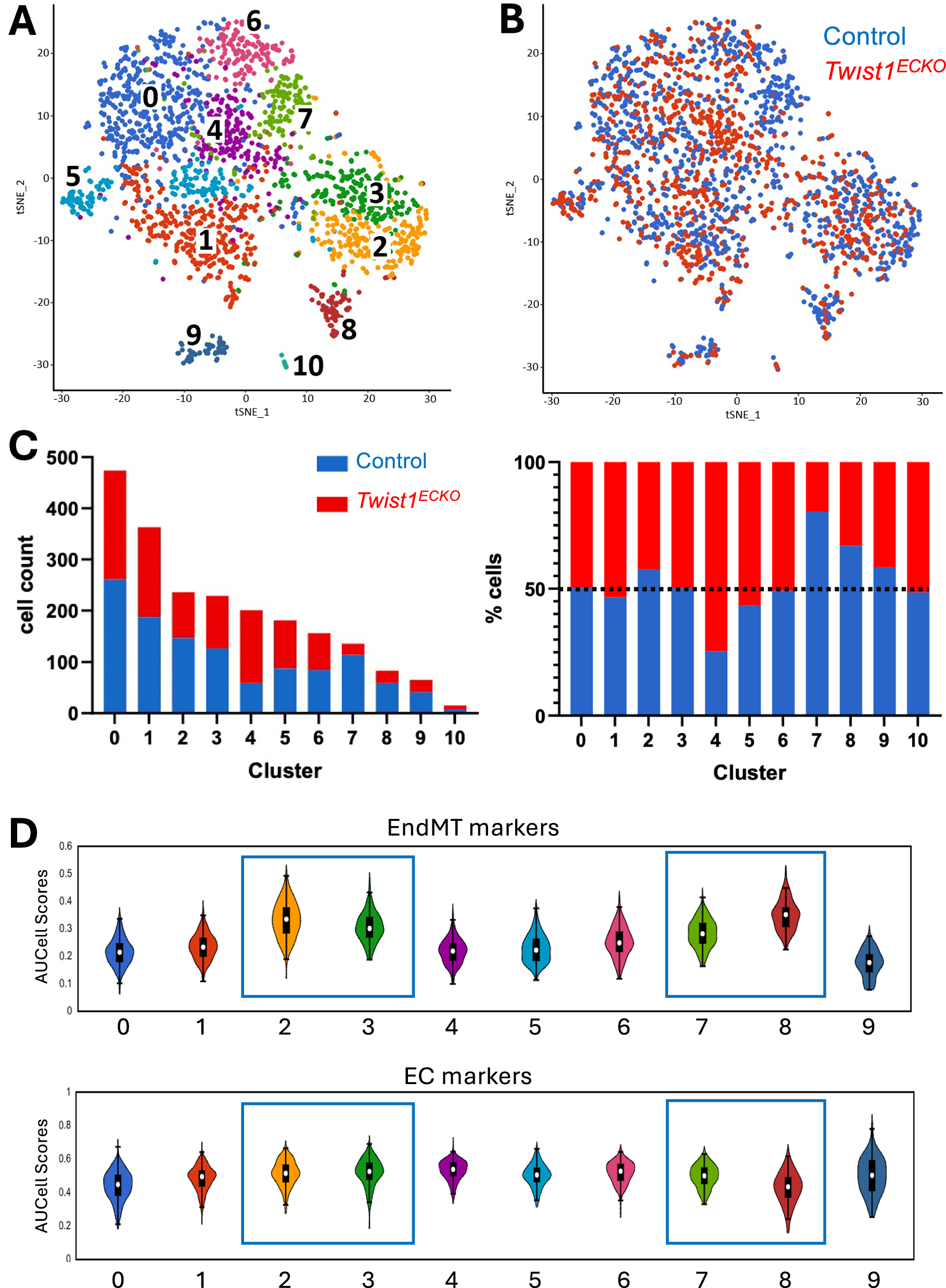 Fig. 1: scRNA-seq analysis of Twist1-regulated EC clusters.