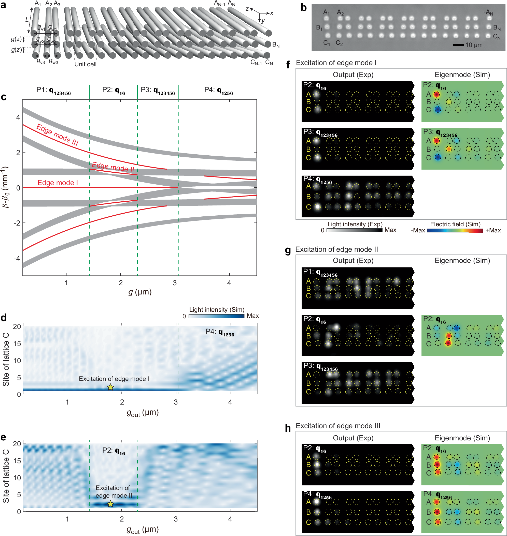 Fig. 3: Experimental measurement on the edge states associated with different non-Abelian topological charges.