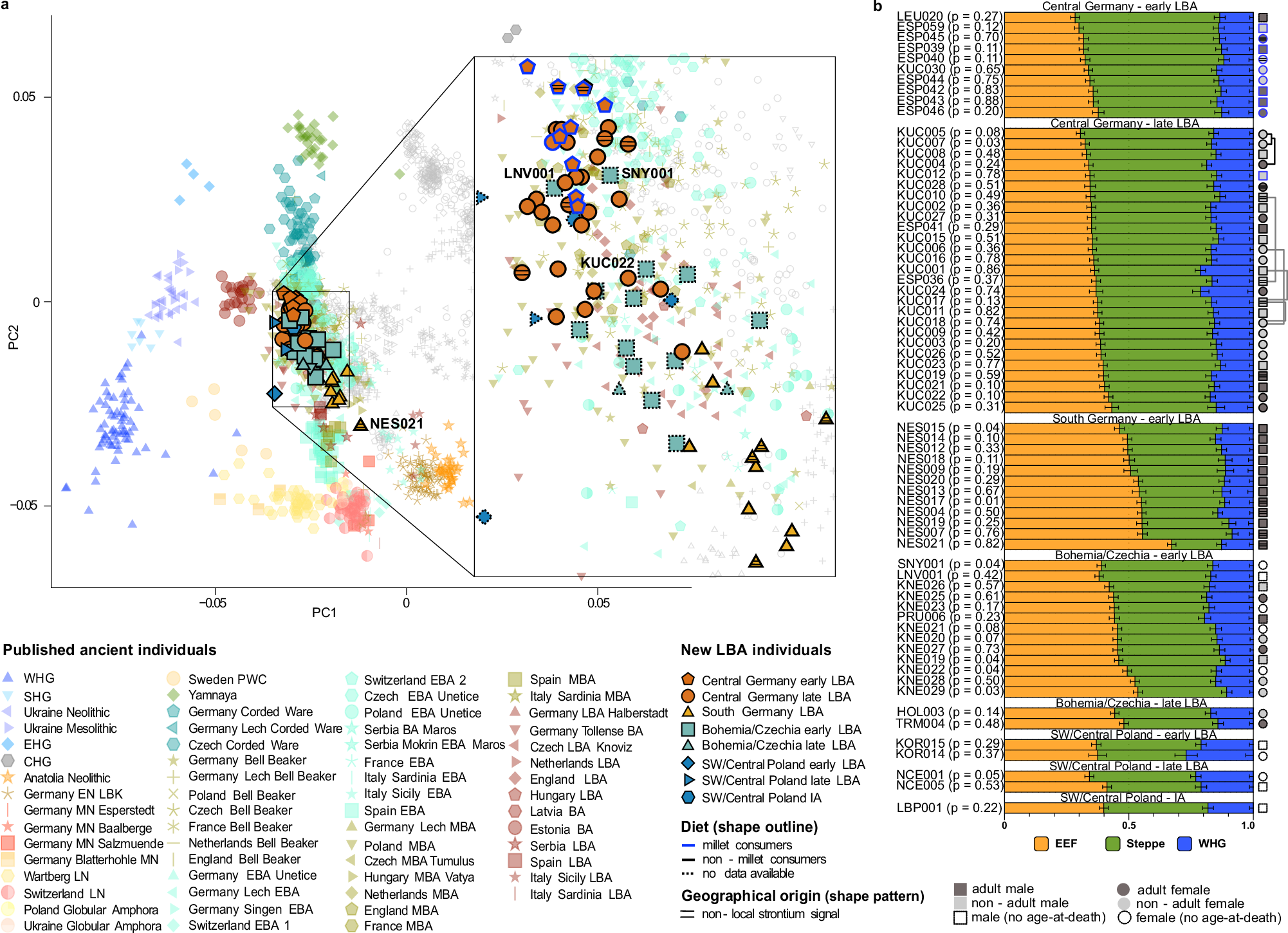 Fig. 2: Genetic structure and distal ancestry modelling with integrated dietary, genetic sex, age-at-death, and biological relatedness information.