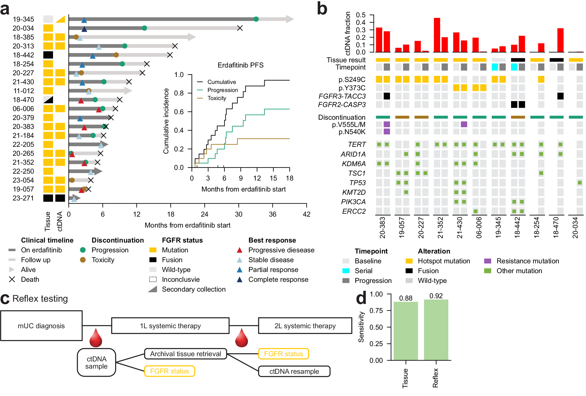 Fig. 3: Response and resistance to erdafitinib.