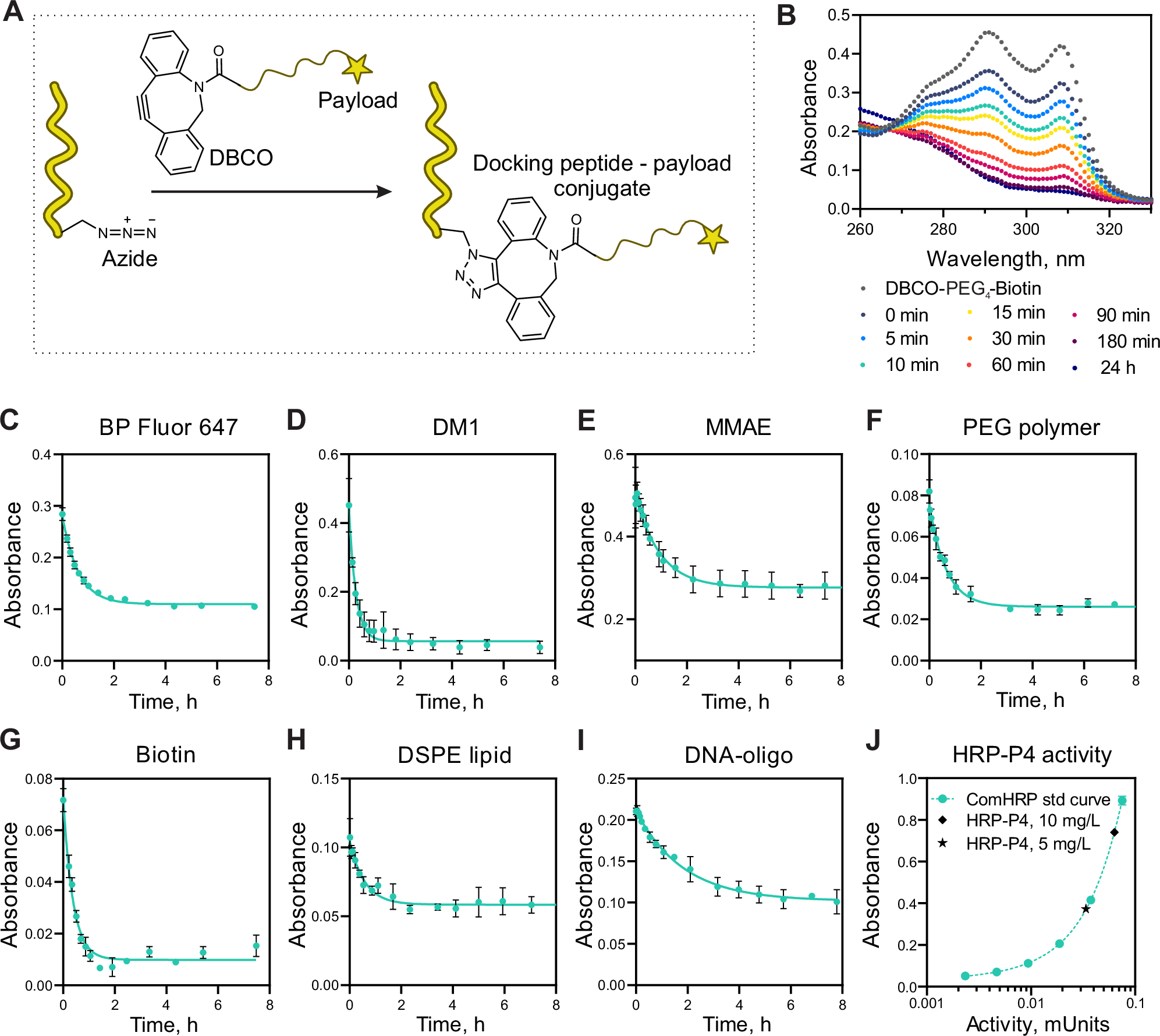 Fig. 2: Docking peptide conjugation.