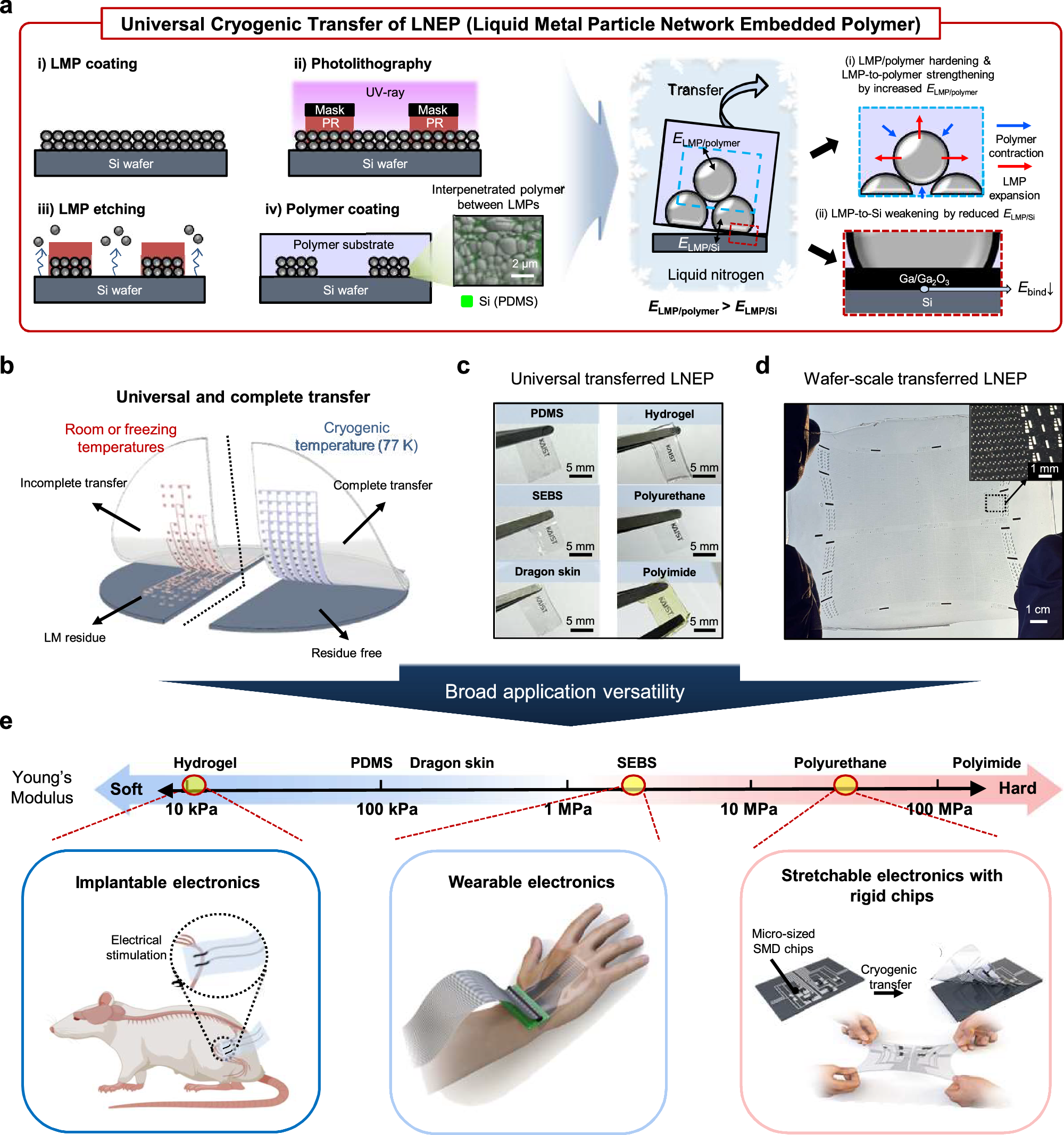 Fig. 1: LNEP for large-area stretchable integrated electronics.